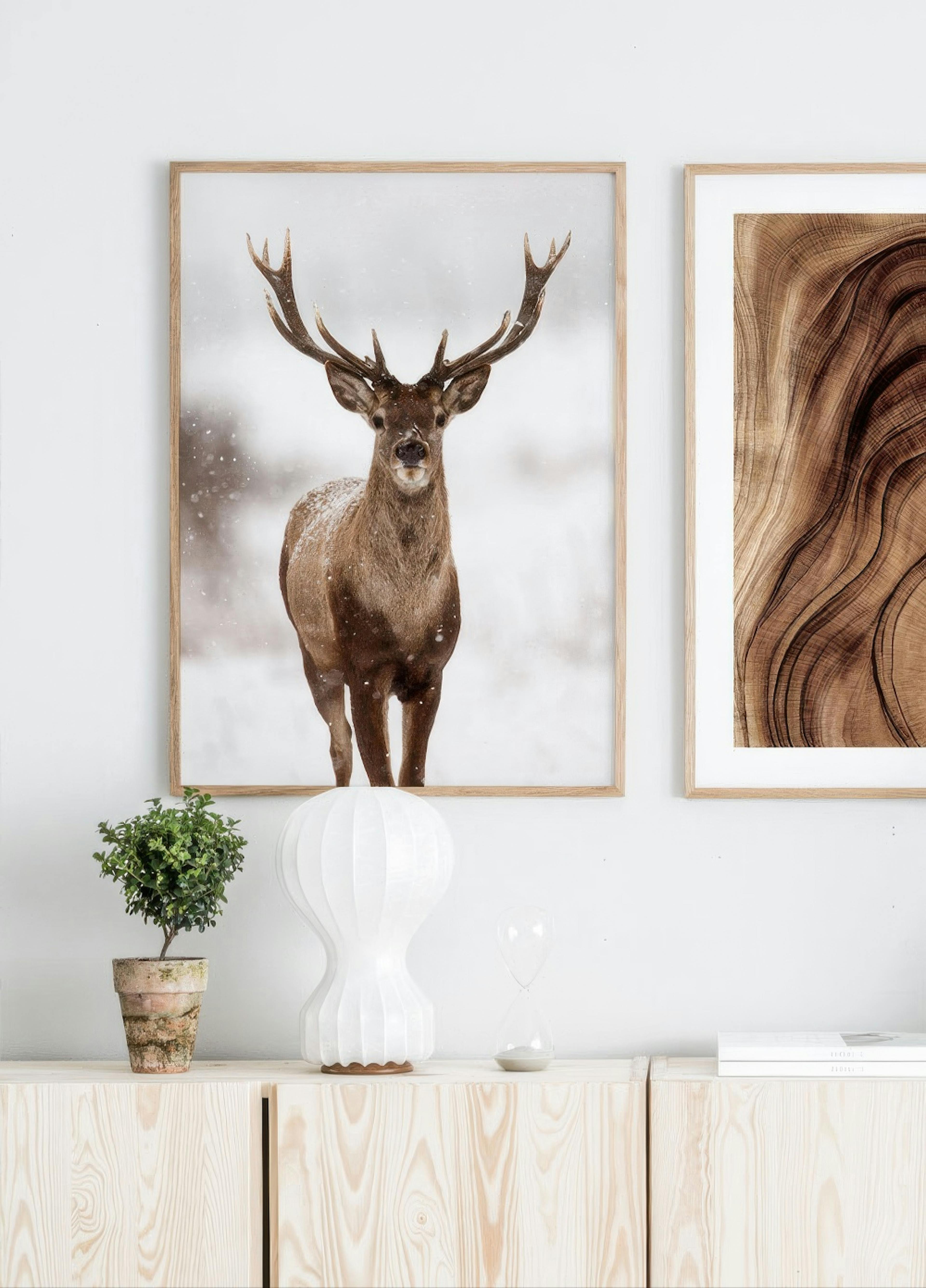 Red stag Plakat thumbnail