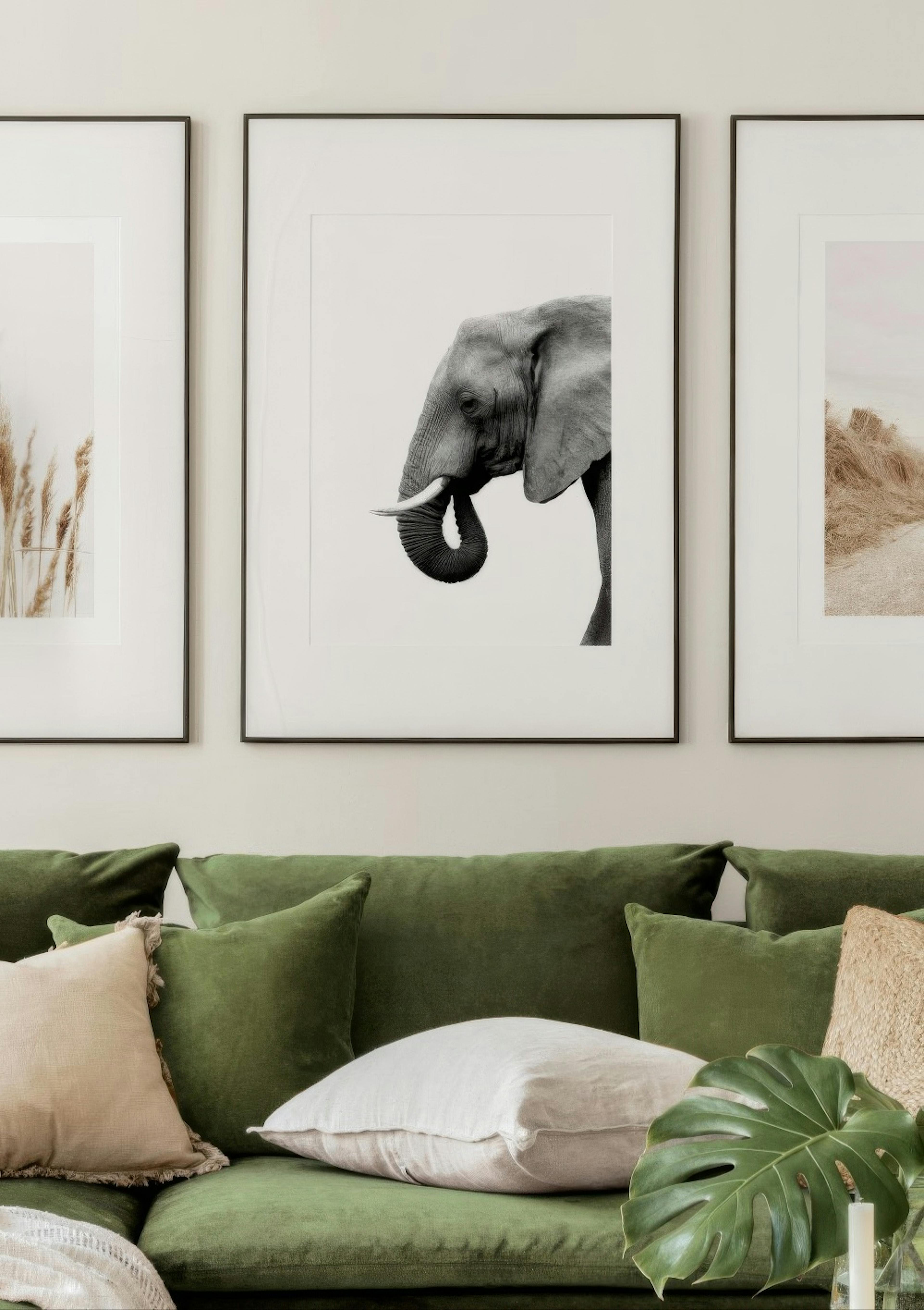 Elephant Profile Poster thumbnail