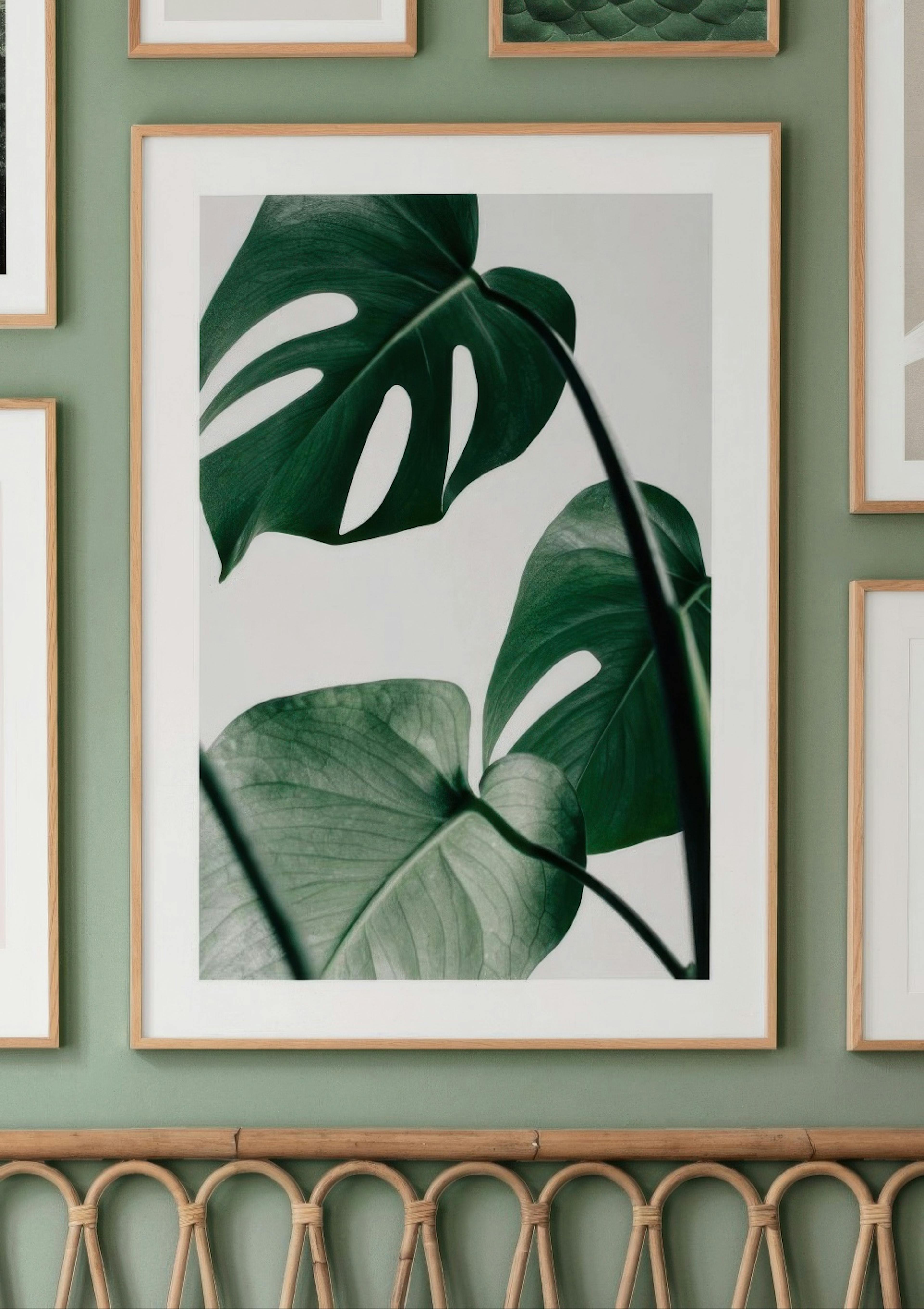 Monstera Leaves Poster thumbnail