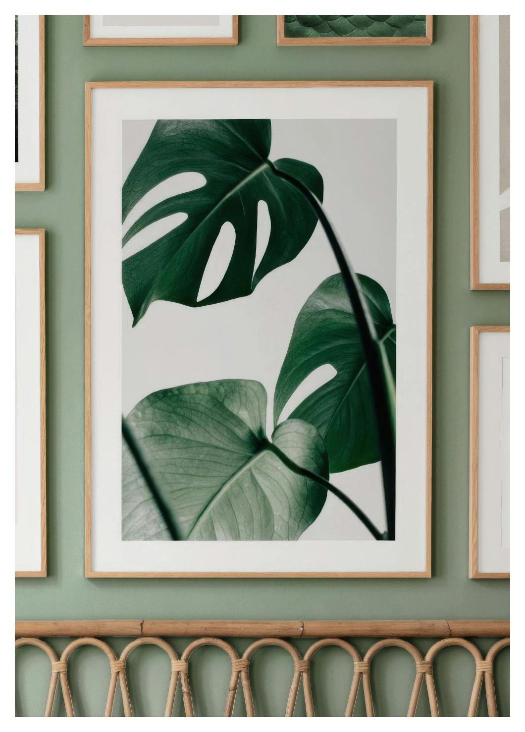 Monstera Leaves Poster (40x50 cm) - Poster Store