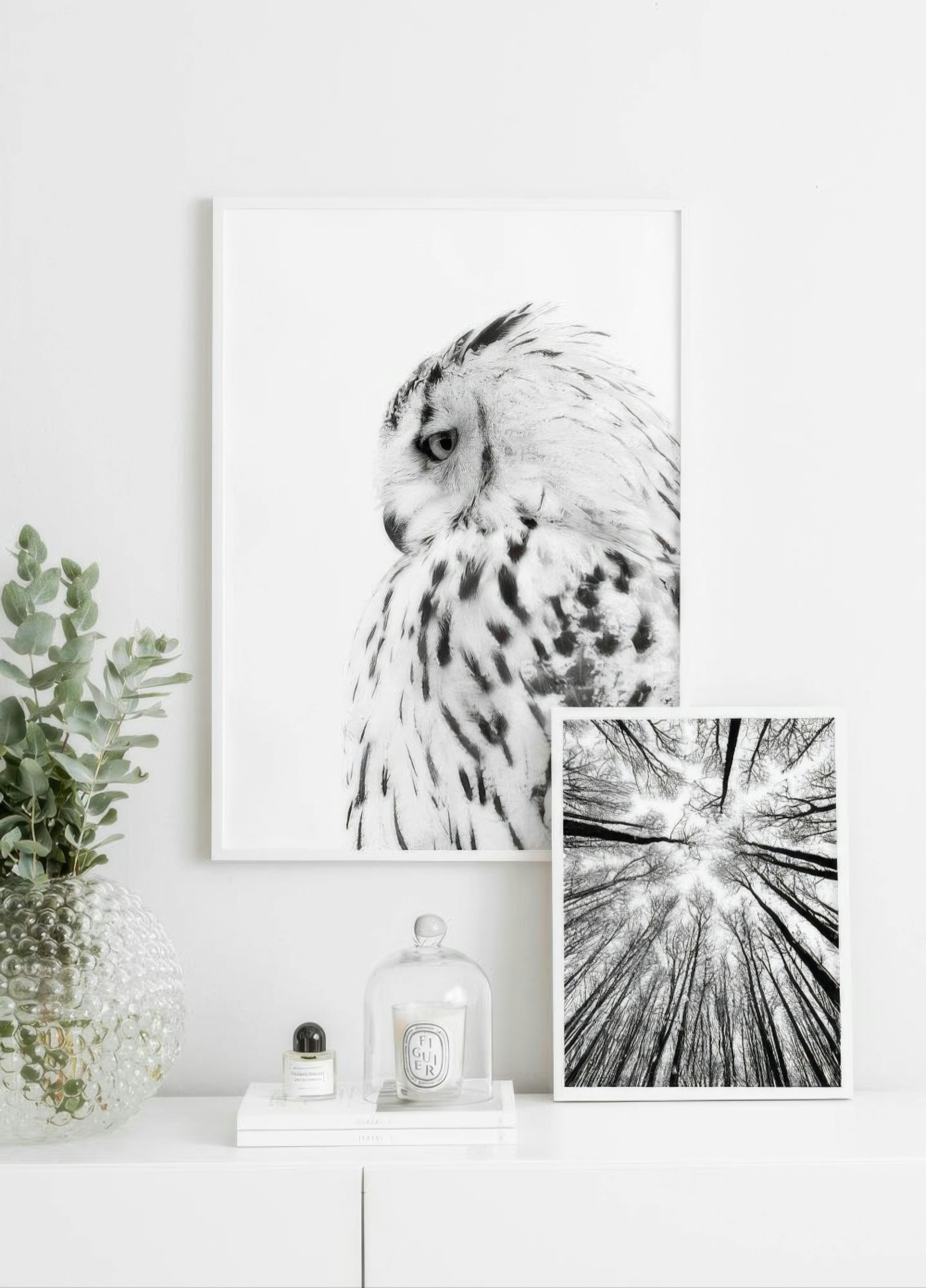 Treetops Poster thumbnail