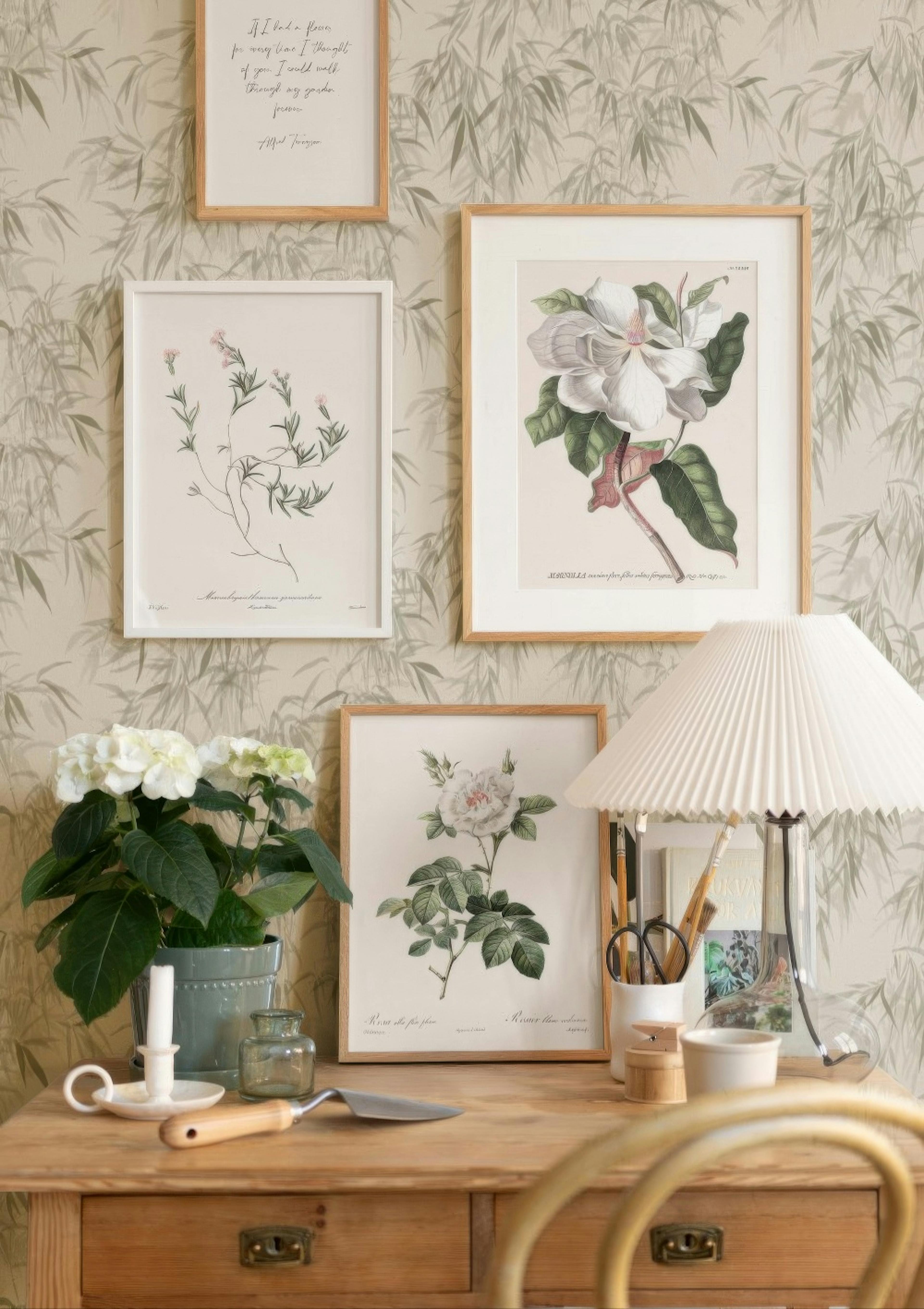 Poster Illustration rose blanche thumbnail