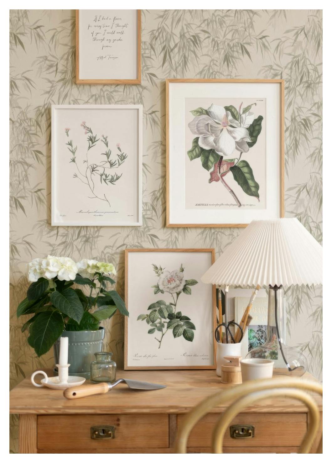 Pink Plant Illustration Poster (50x70 cm) - Poster Store