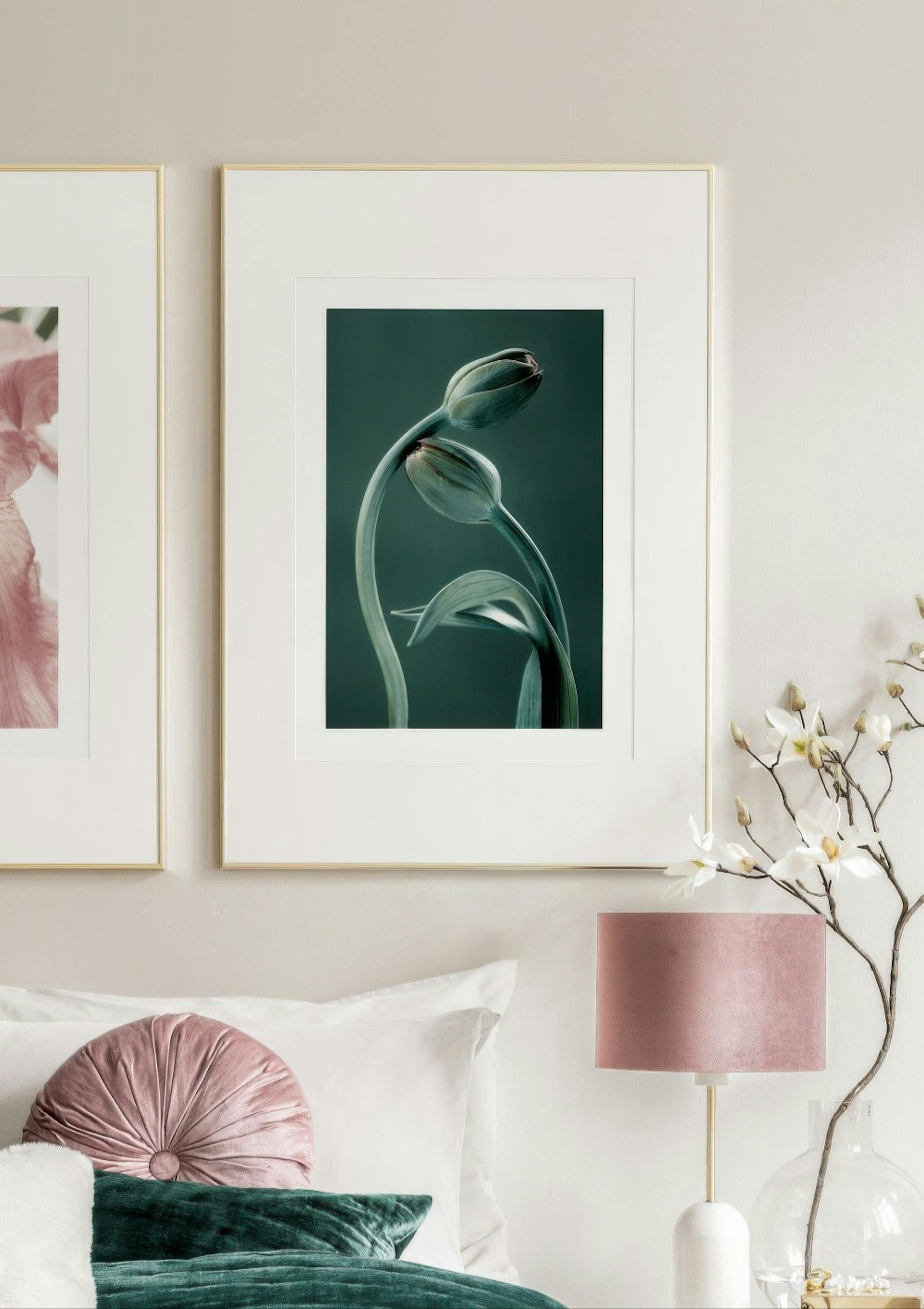 Tulip Buds Poster thumbnail