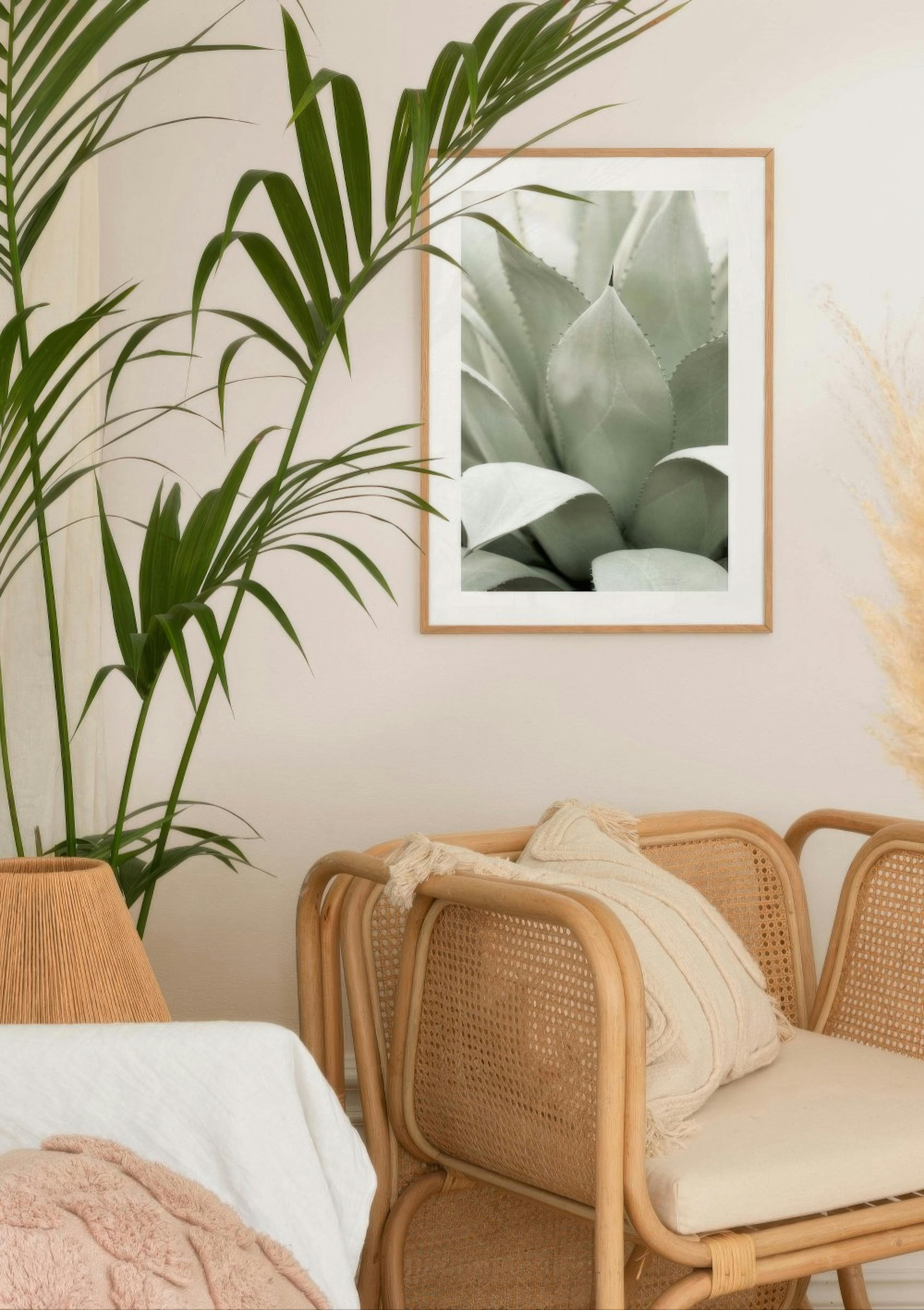Agave Plant Poster thumbnail
