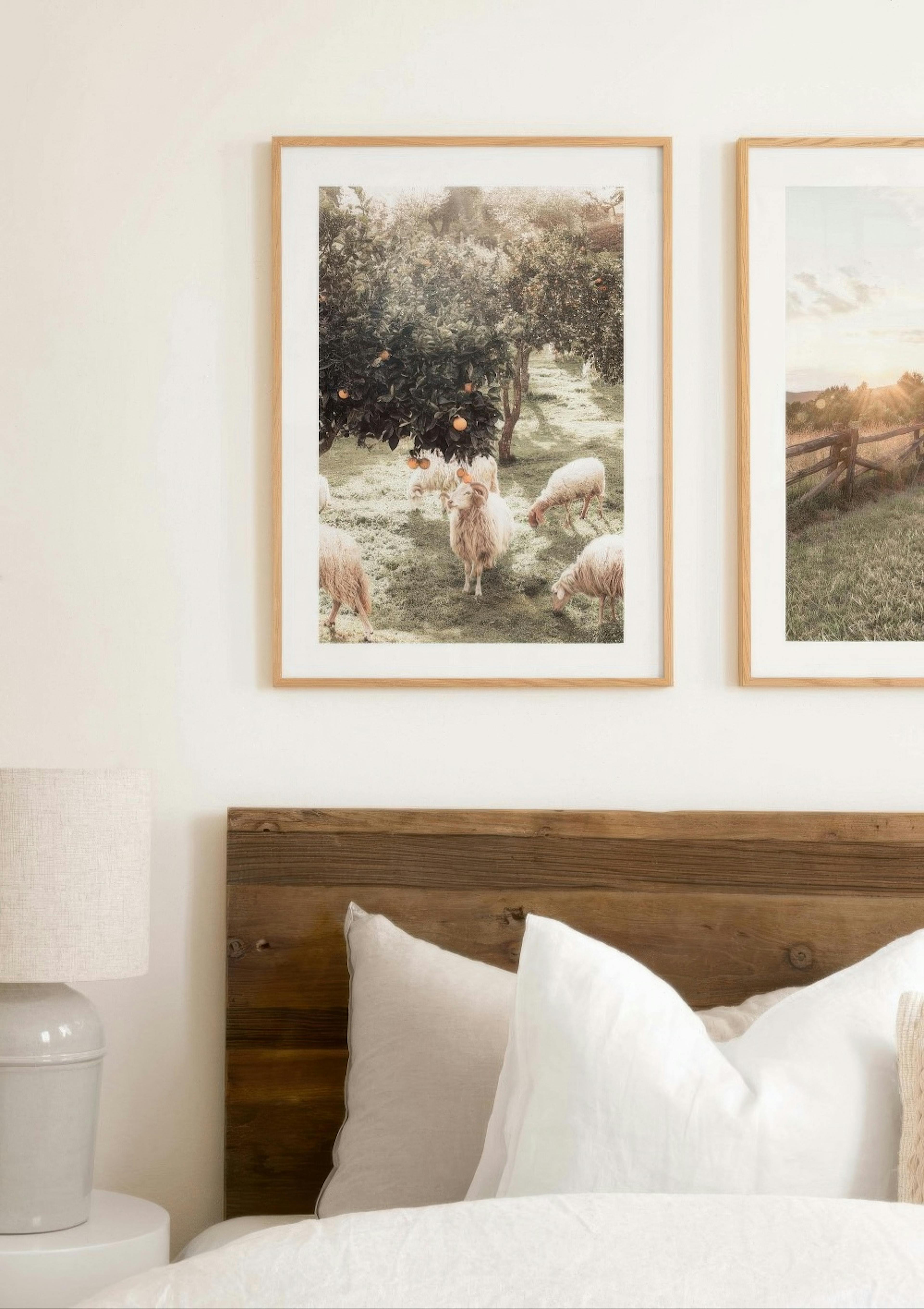 Sheep and Orange Tree Poster thumbnail