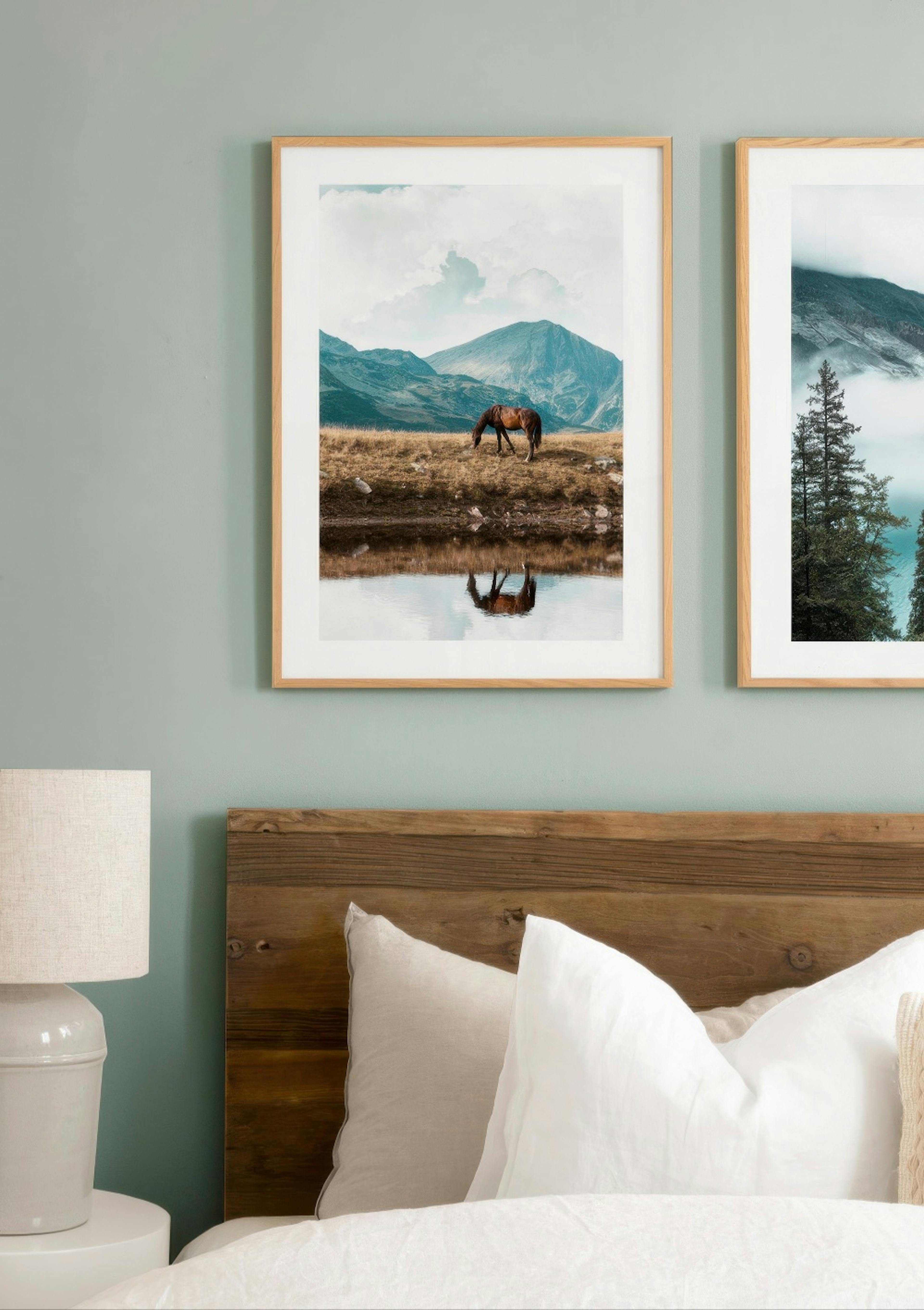 Highland Horse Poster thumbnail