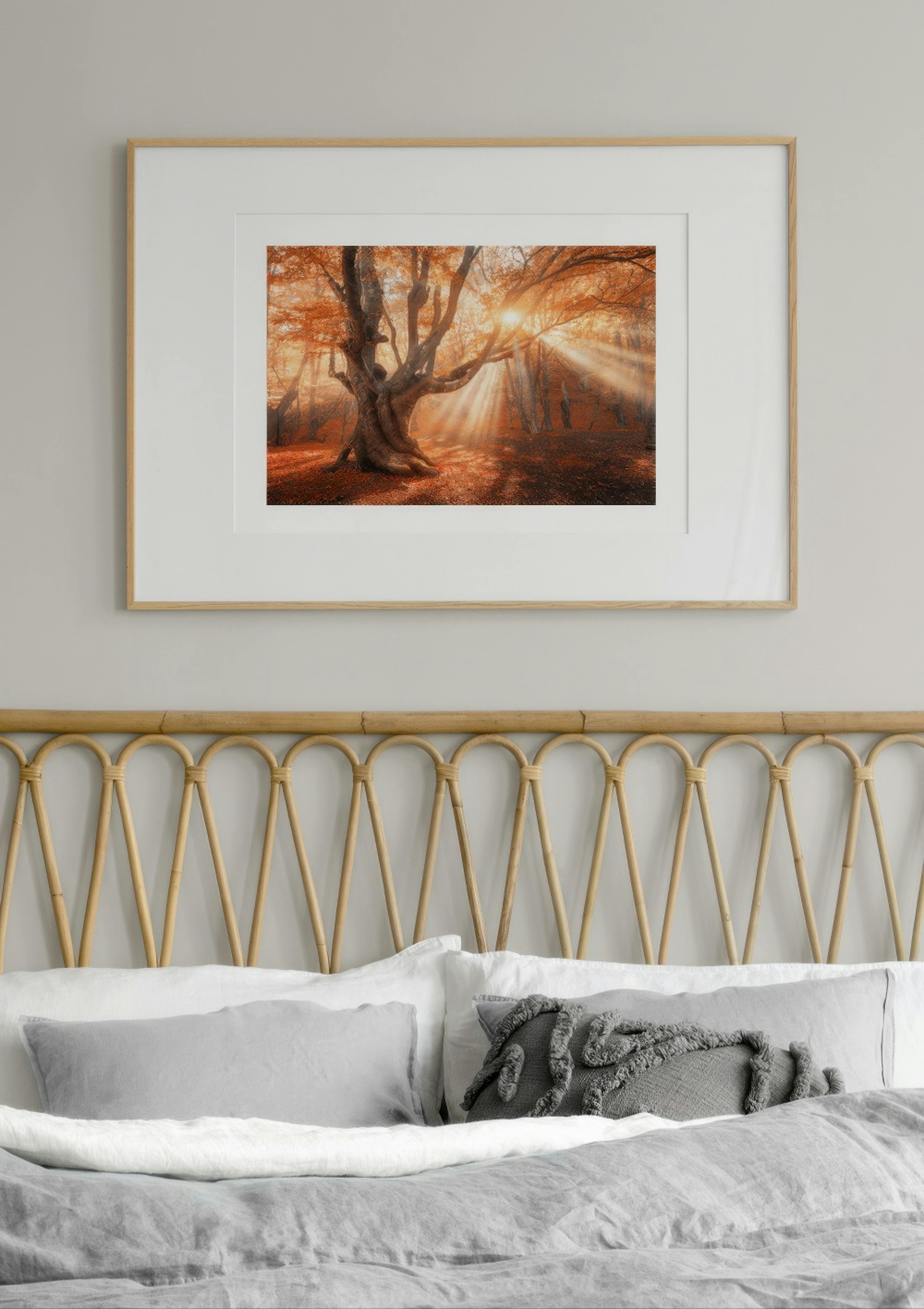 Sunshine Through Tree Poster thumbnail