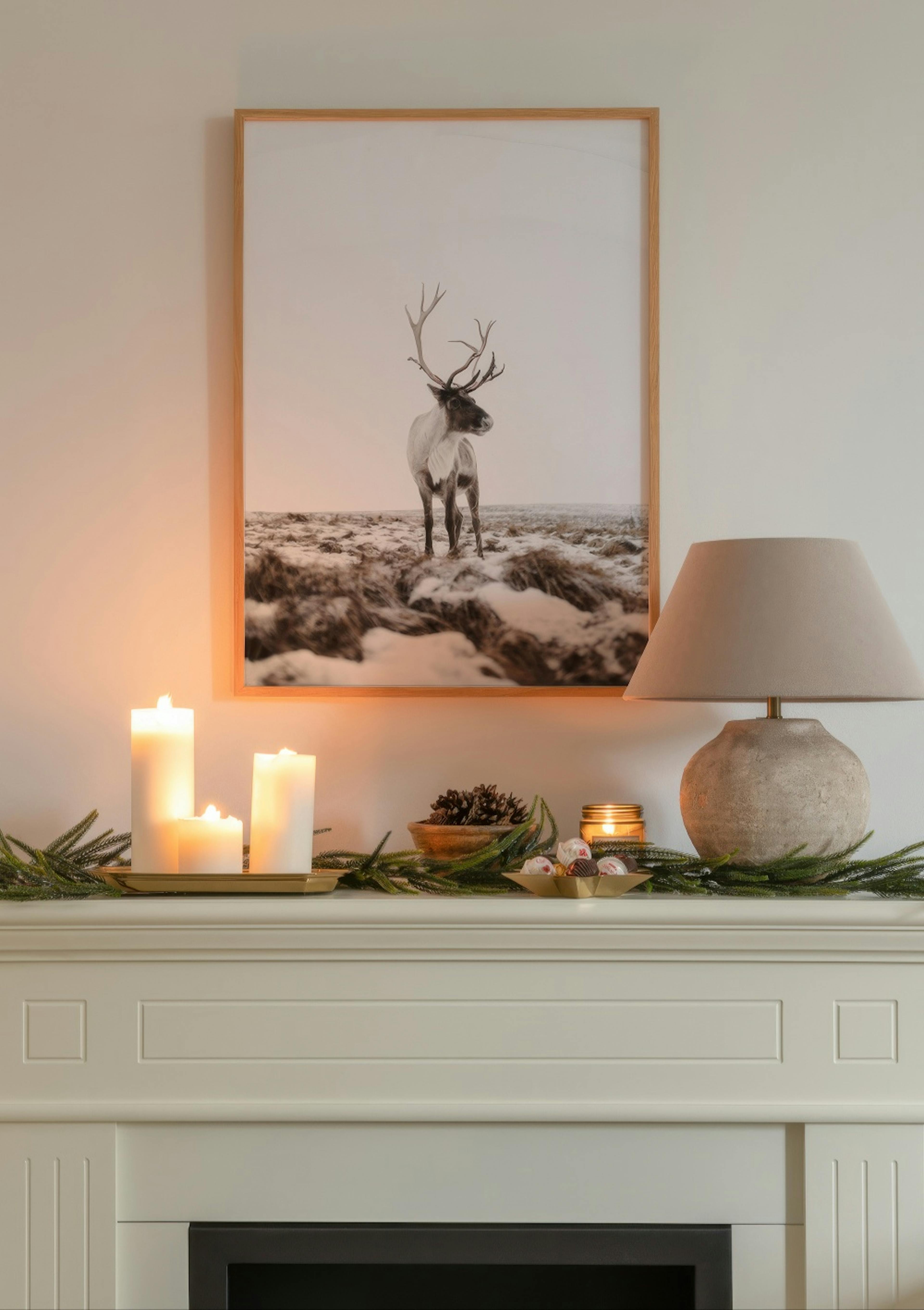 Reindeer Poster thumbnail
