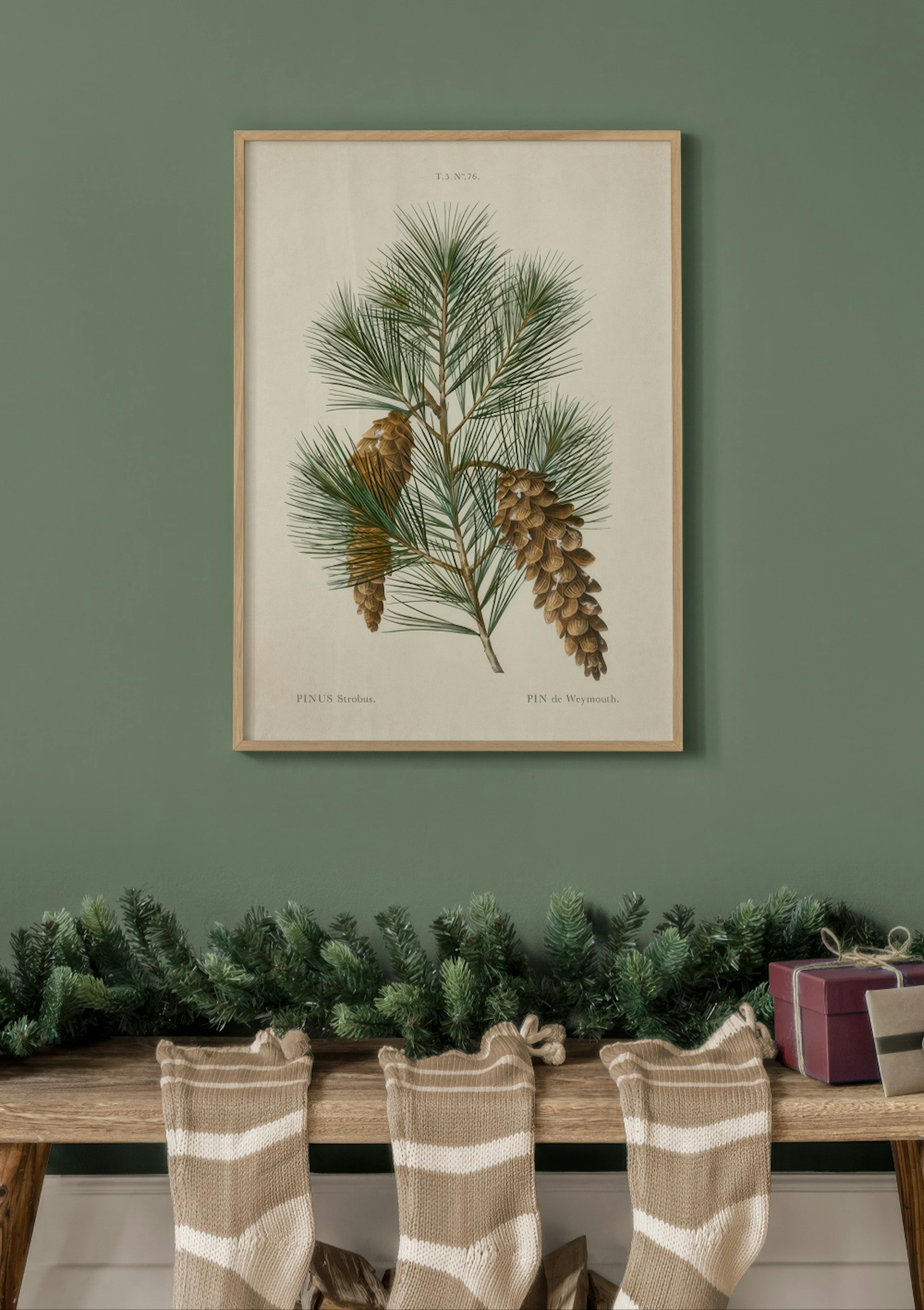 Vintage Pine Poster thumbnail