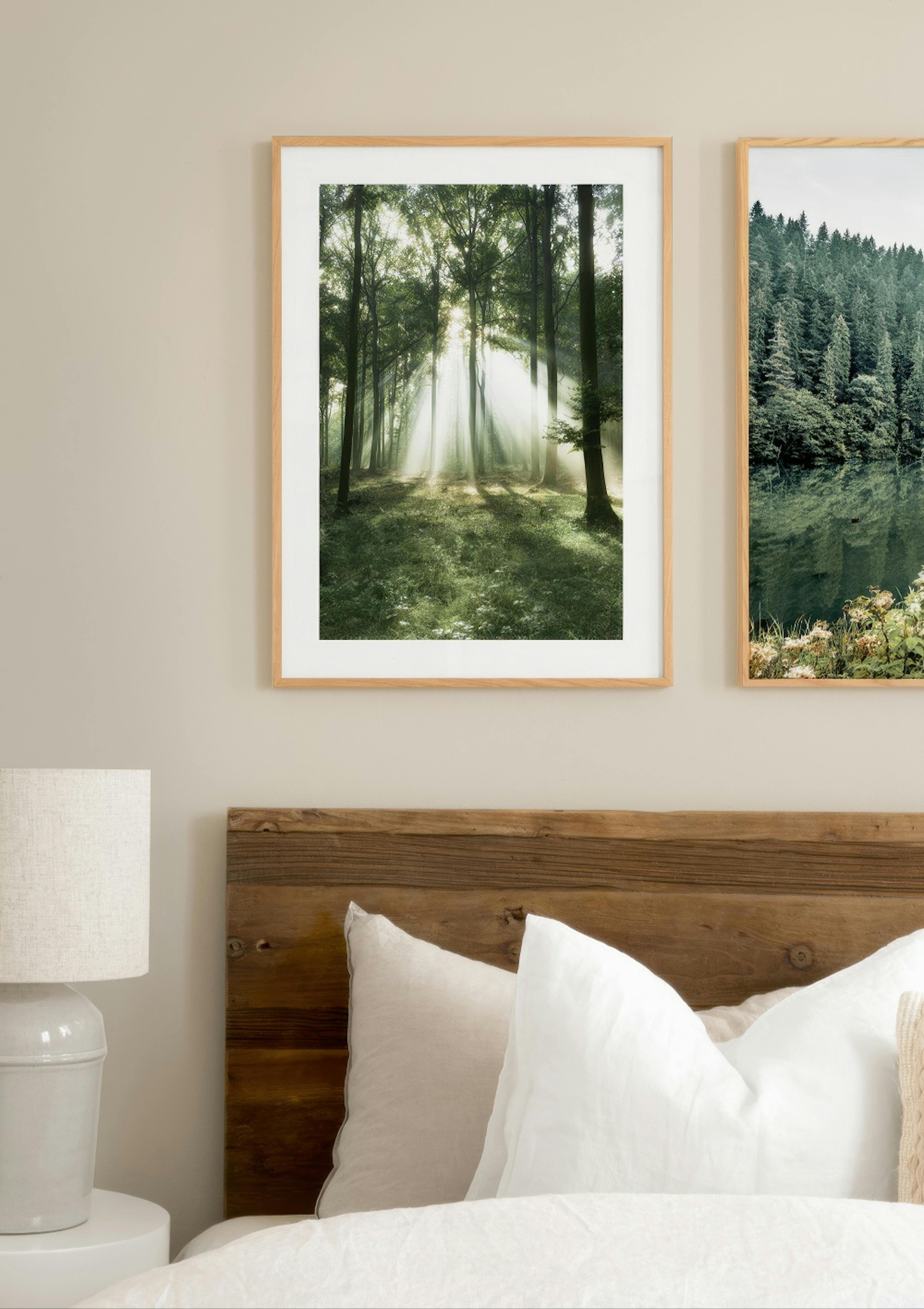 Morning Forest Poster thumbnail