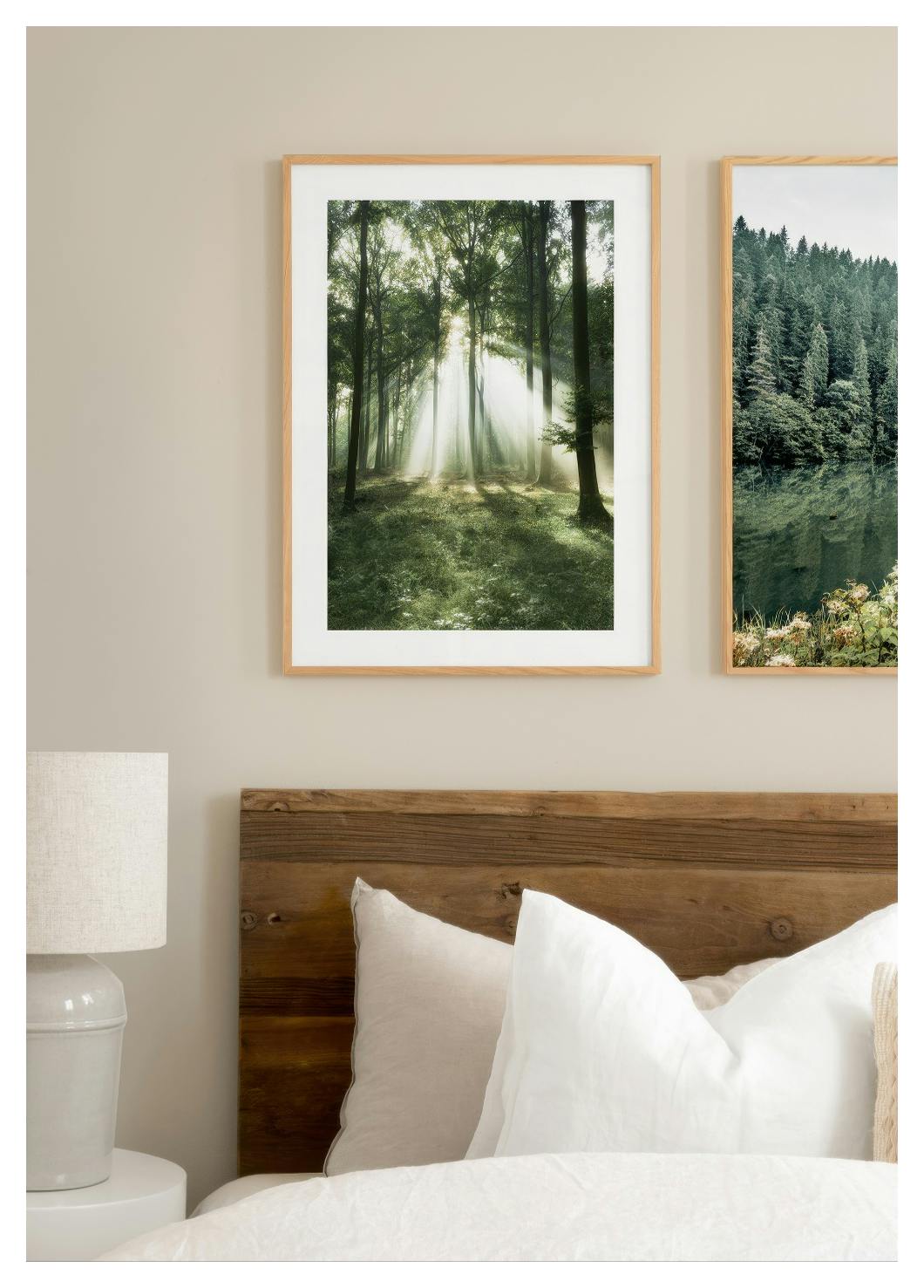 Morning Forest Poster (30x40 cm) - Poster Store