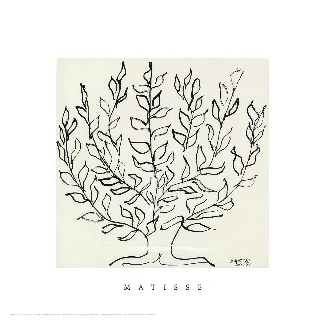 Matisse - The Plane Tree Square Poster (50x50 cm) - Poster Store
