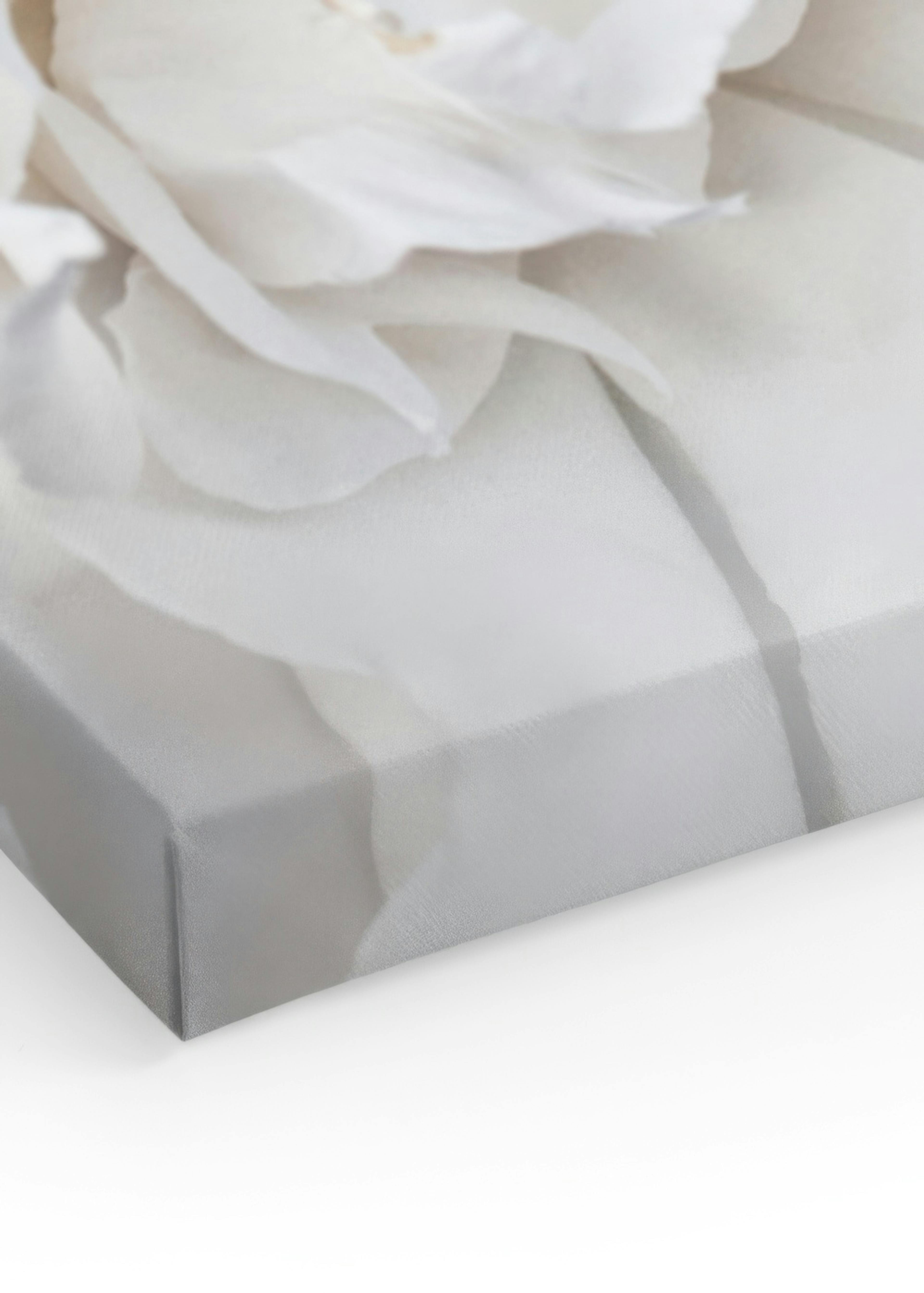 Product image: 3