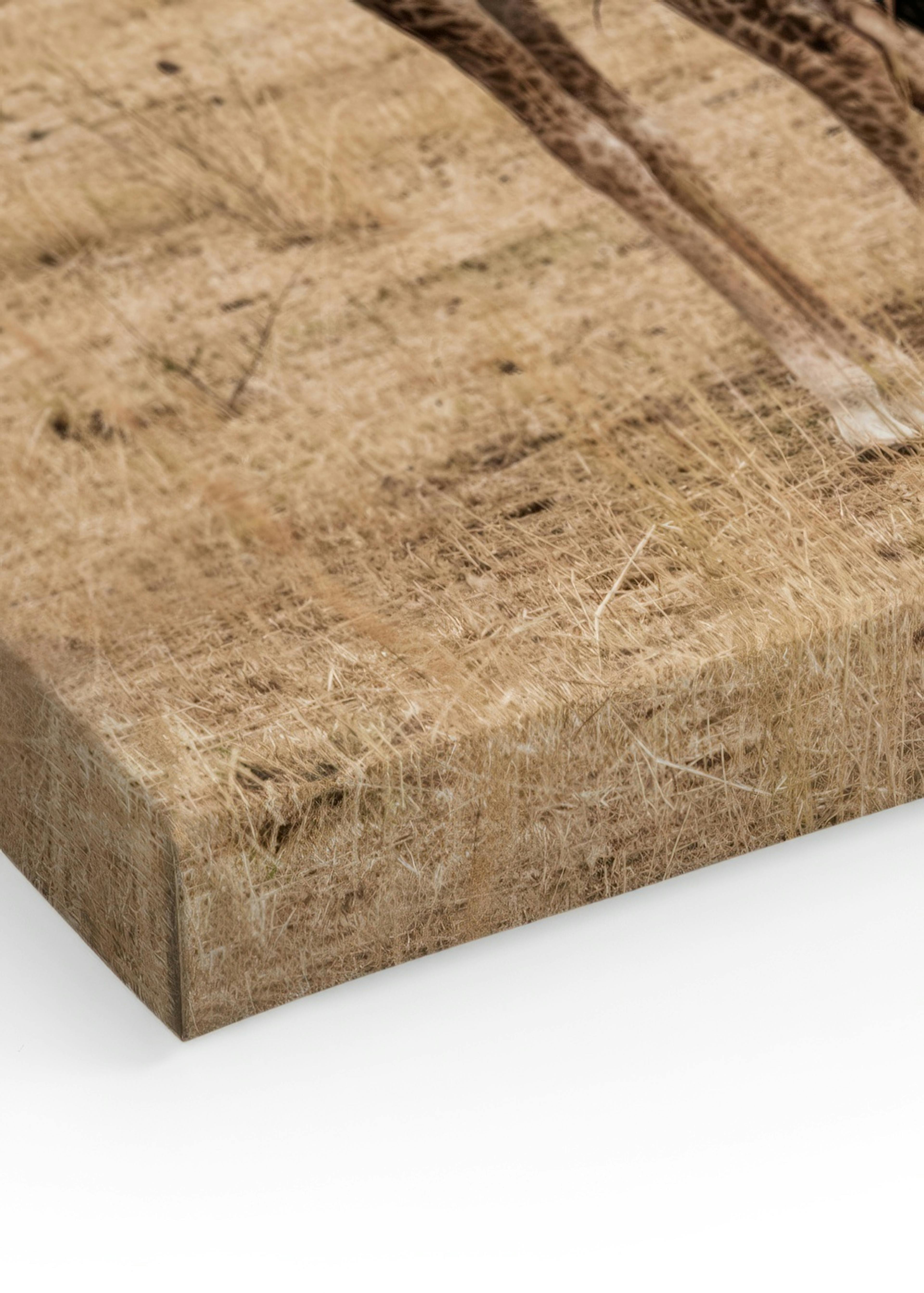 Product image: 3