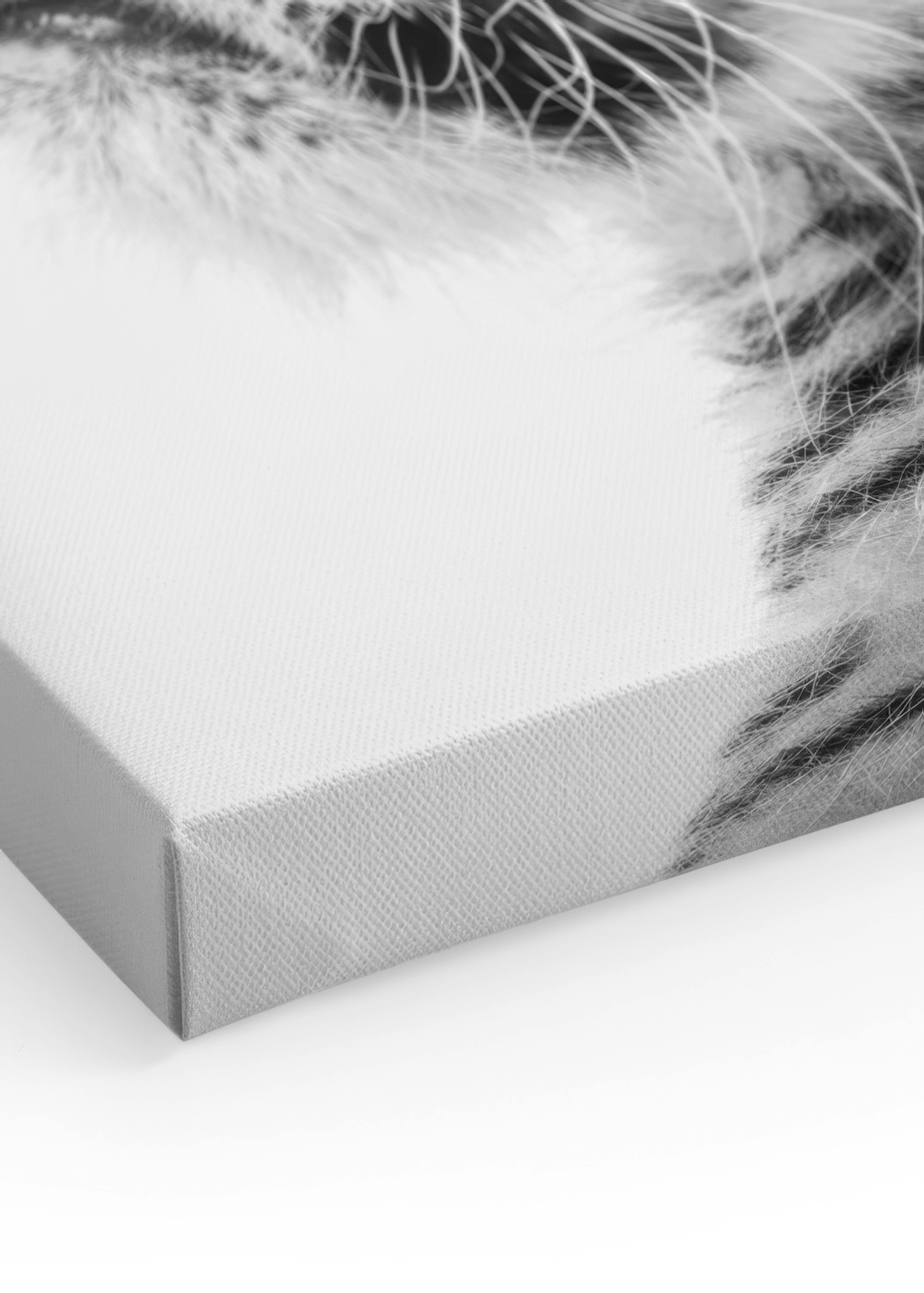 Product image: 3