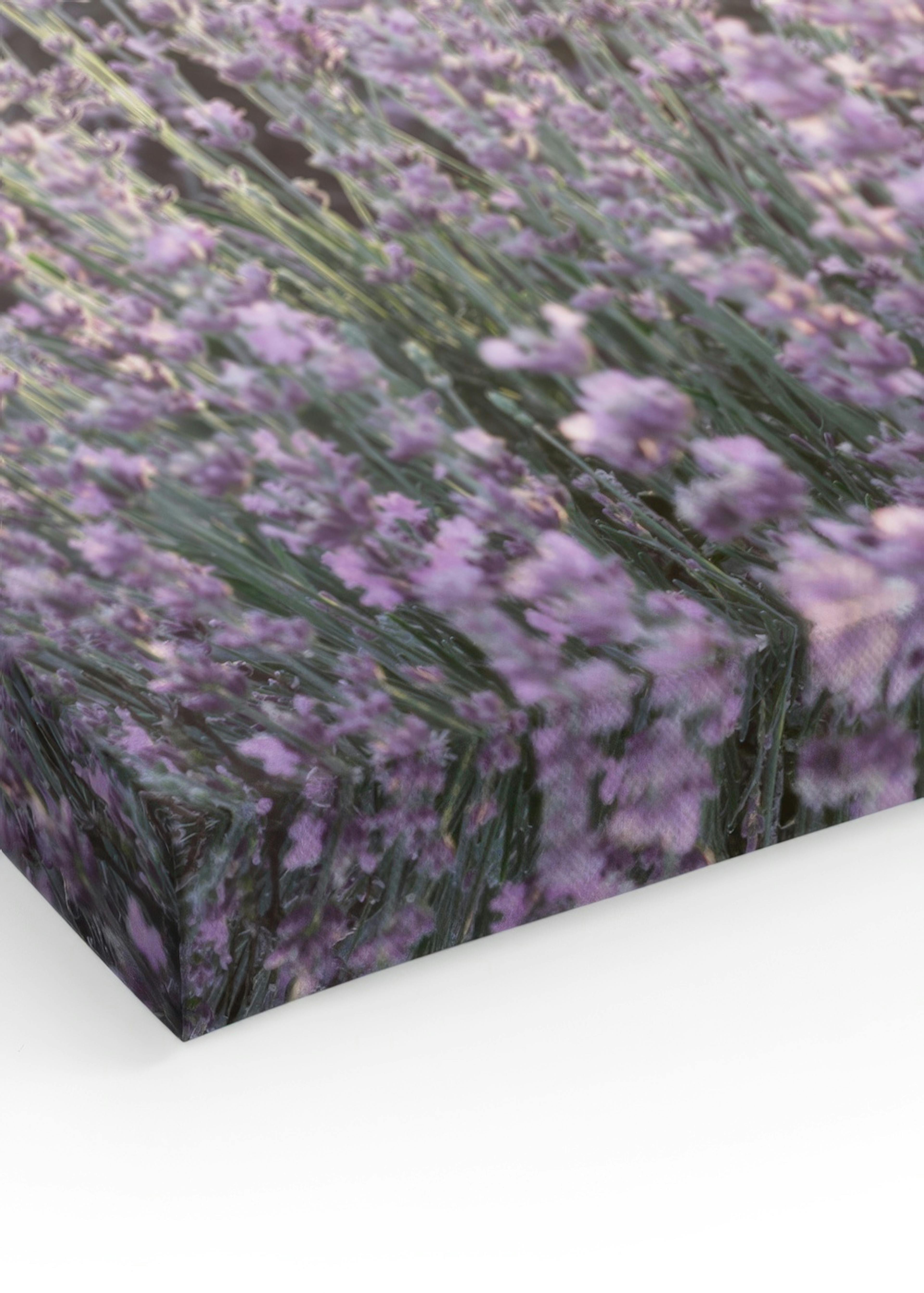 Product image: 1