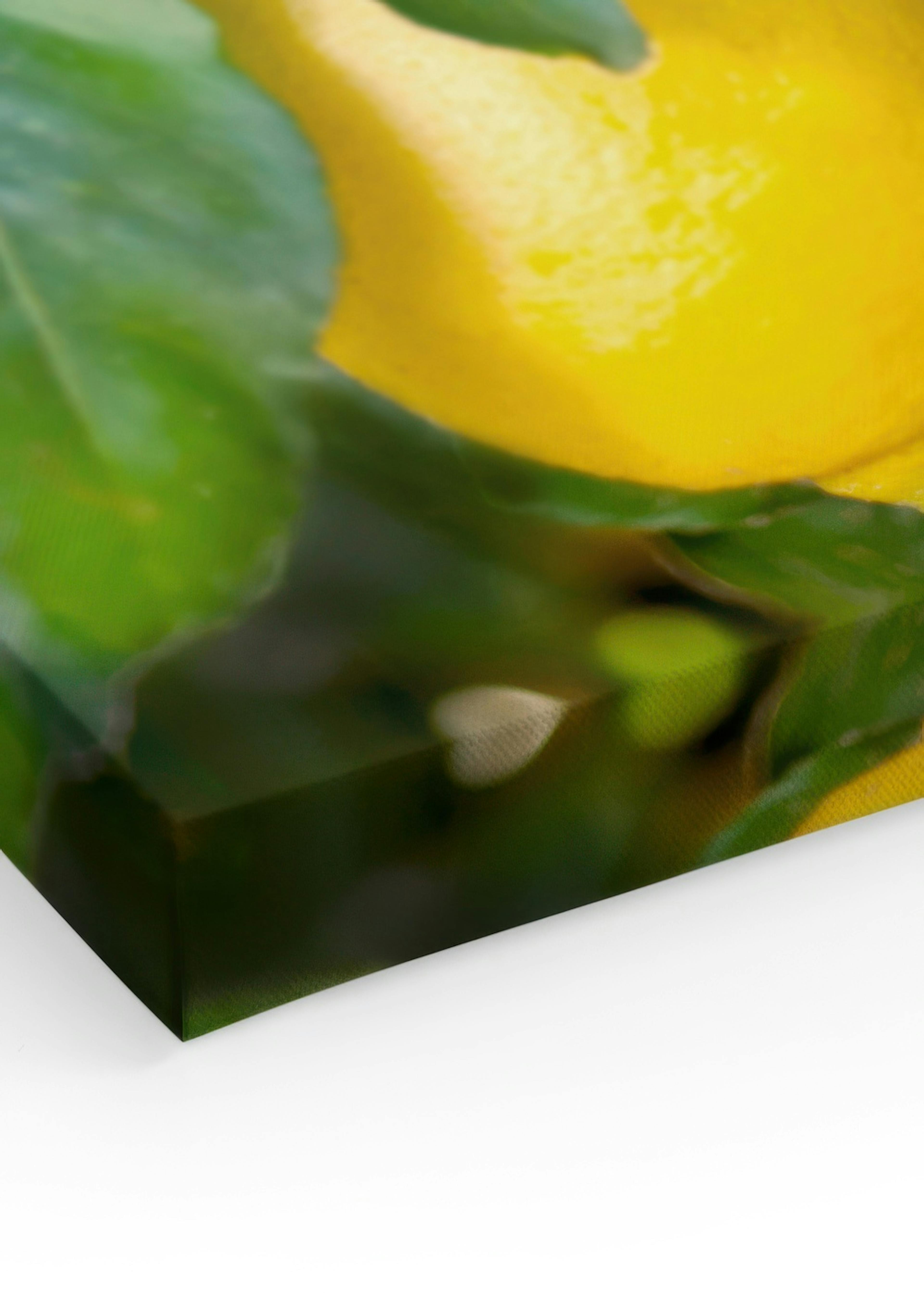 Product image: 3