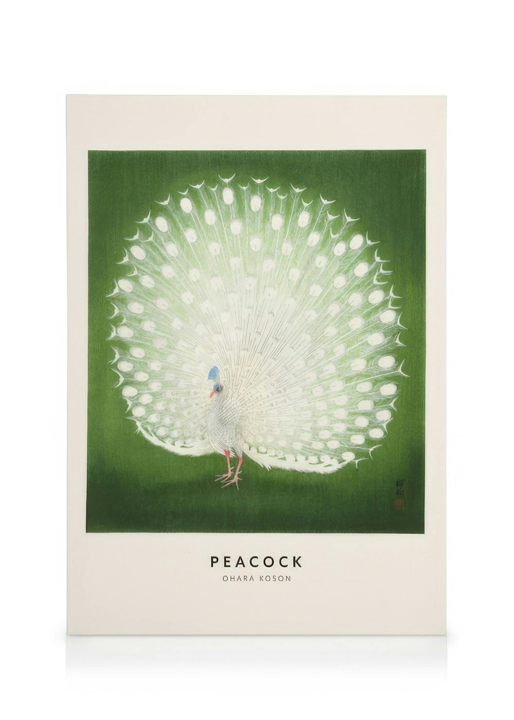 Canvas Prints - Ohara Koson - Peacock Canvas Print (50x70 cm - Black Frame) - Poster Store