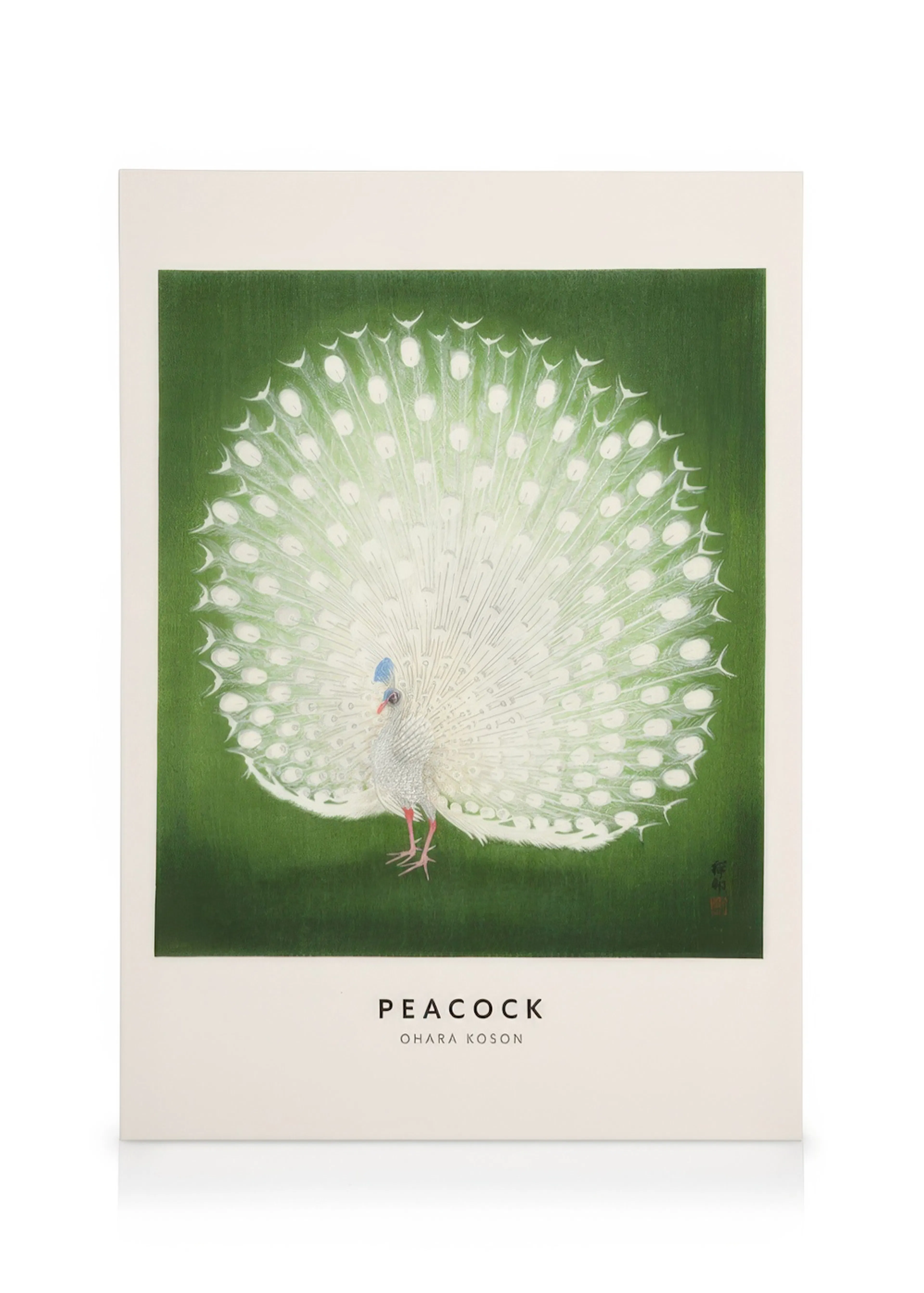 A canvas featuring a white peacock with its tail fanned, set against a vibrant green background.