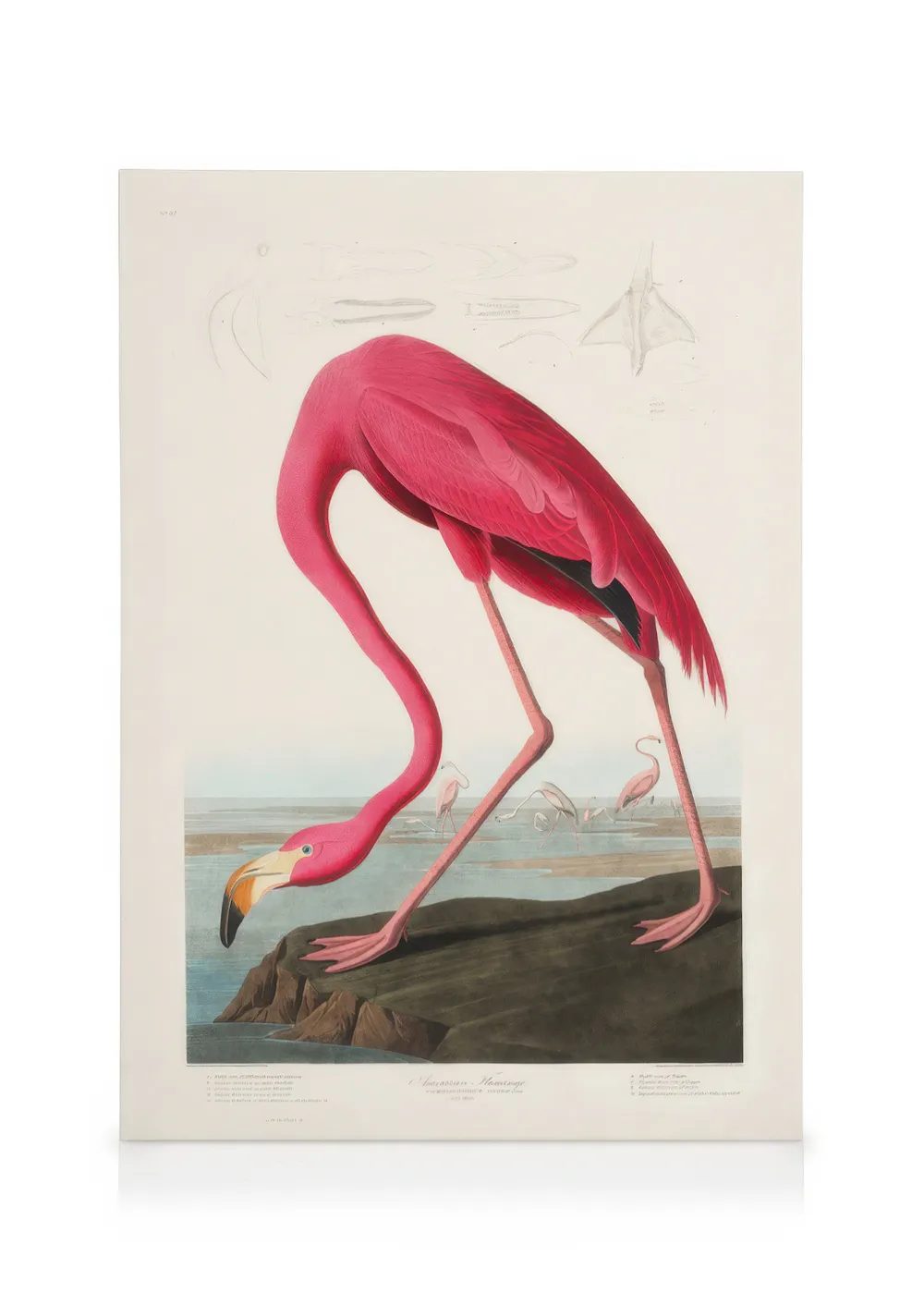 A canvas featuring a vibrant pink flamingo bending to drink from a water body, with smaller flamingos in the background.