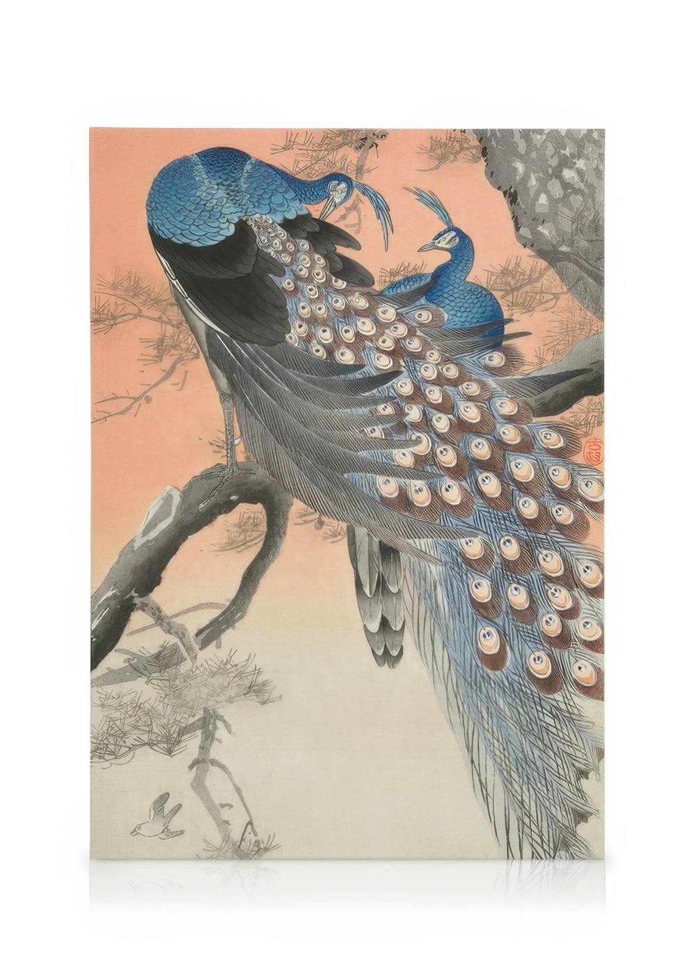 Ohara Koson - Two Peacocks on Tree Branch Canvas Print (50x70 cm - Oak Frame) - Poster Store High Quality Picture Frames