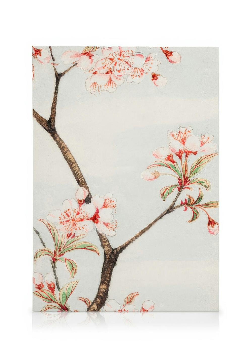 Megata Morikaga - Sakura Cherry Canvas Print (50x70 cm) - Poster Store
