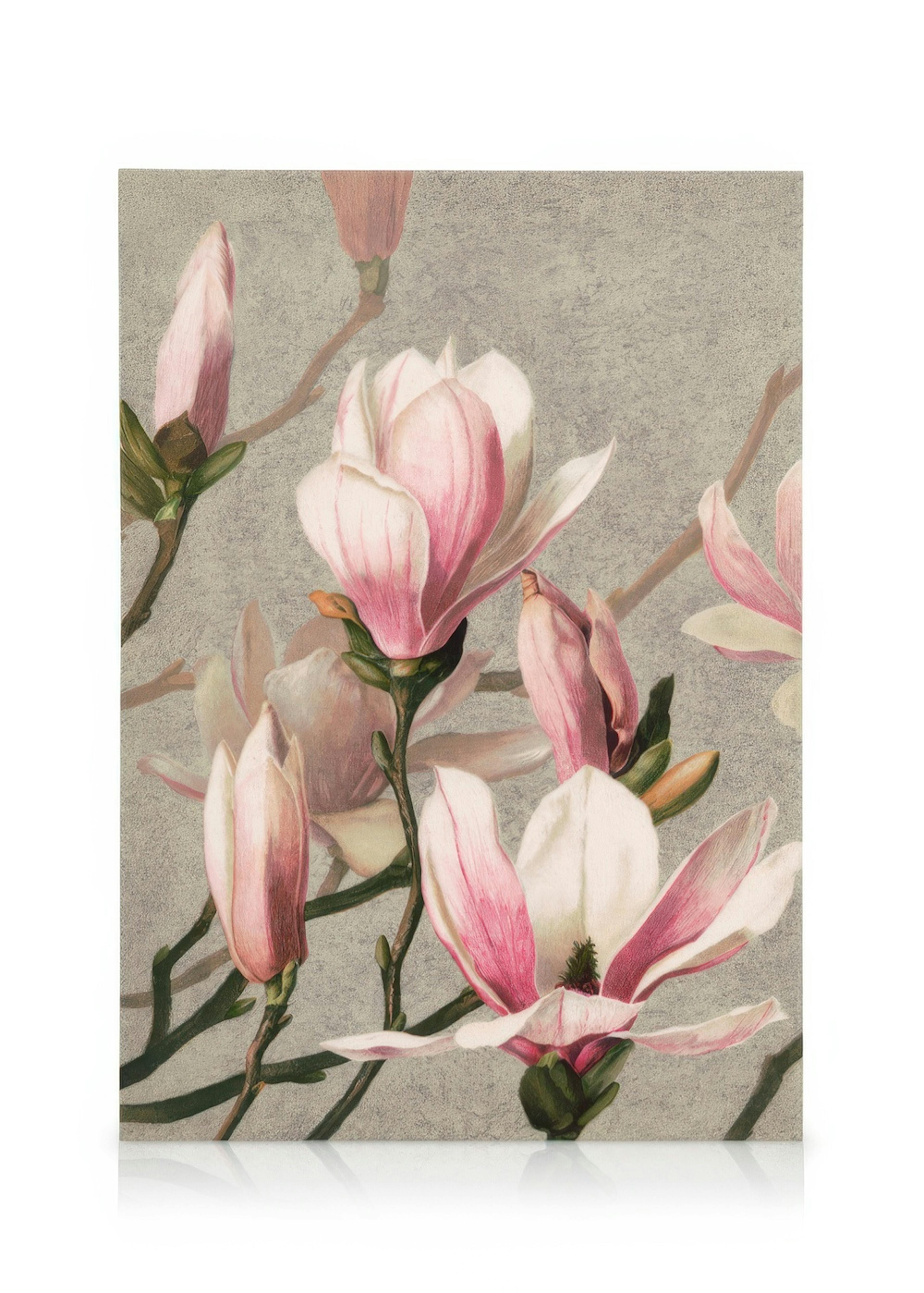 L. Prang & Co. - Magnolia Stampa su tela 0