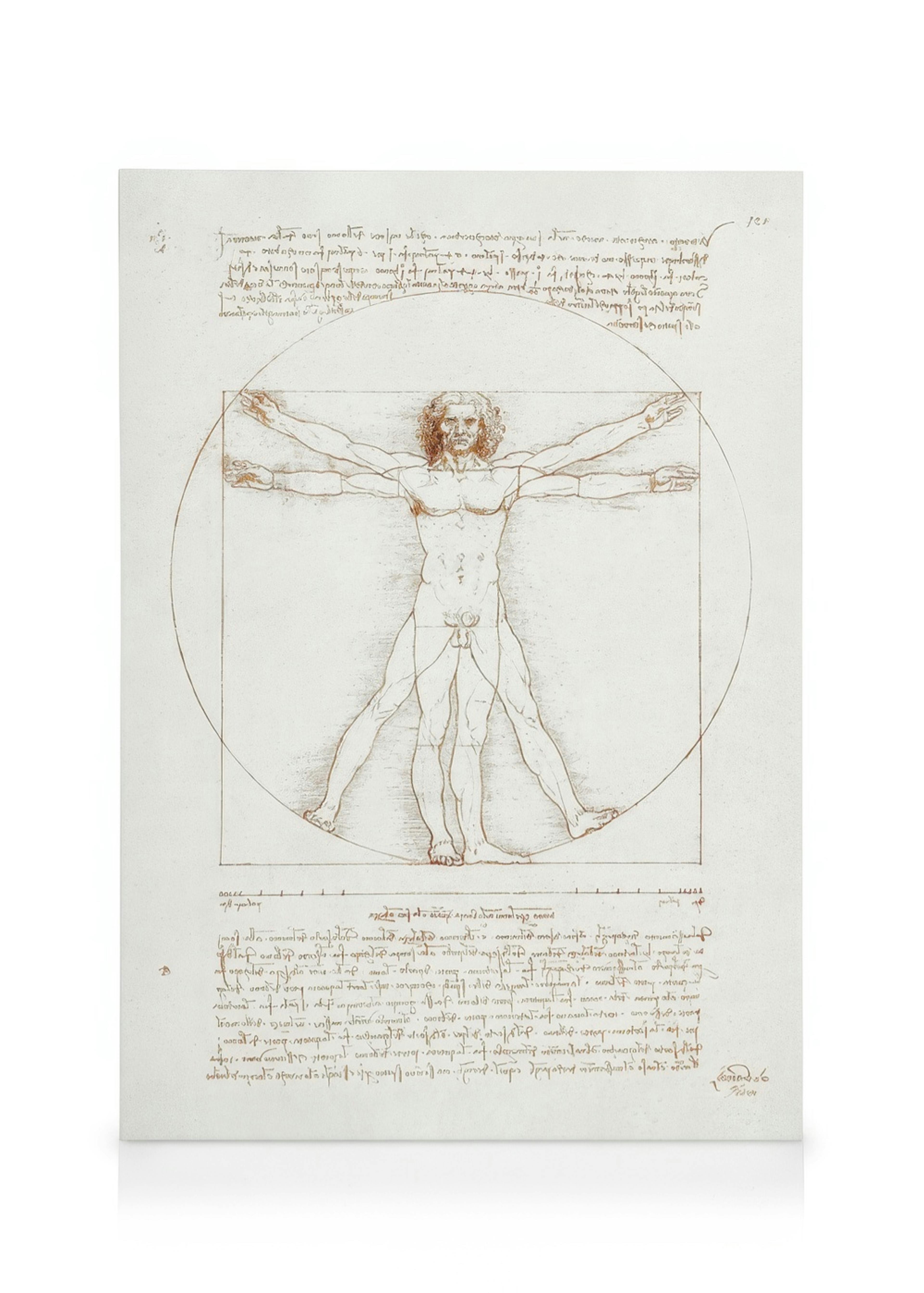 Lienzo del Hombre de Vitruvio con texto en estilo dibujo sepia, mostrando una figura masculina con brazos y piernas extendidos d