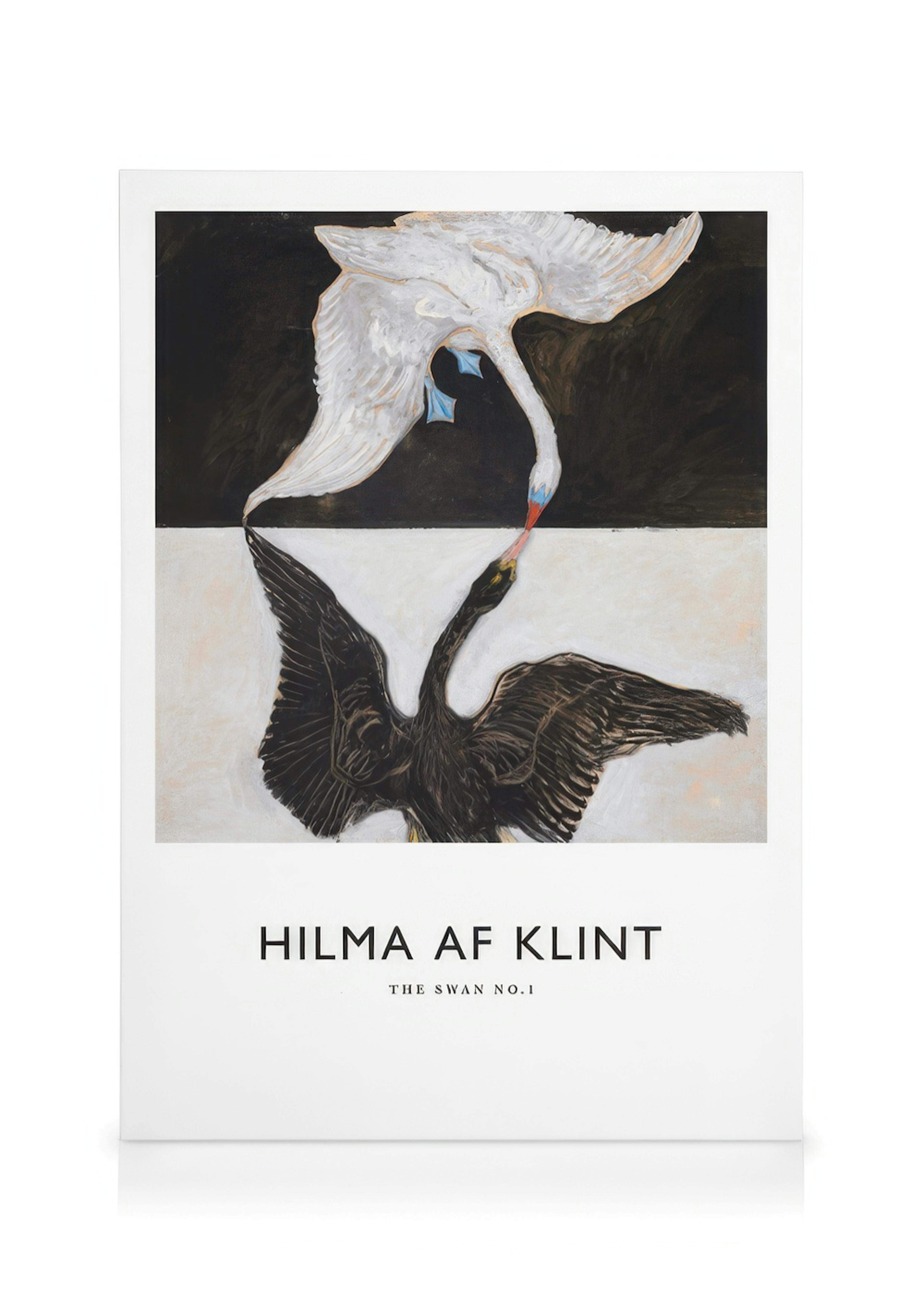 A canvas featuring Hilma af Klints The Swan No. 1 artwork, showing a white swan and a black swan.