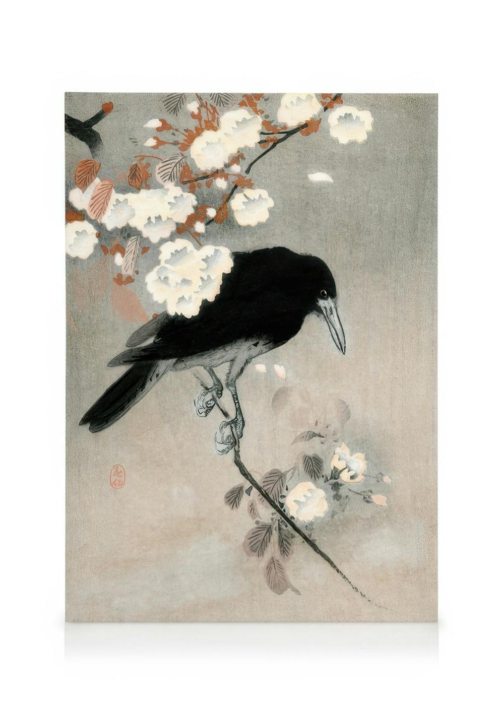 Japanese woodblock canvas print of a black crow perched on a branch with white blossoms.