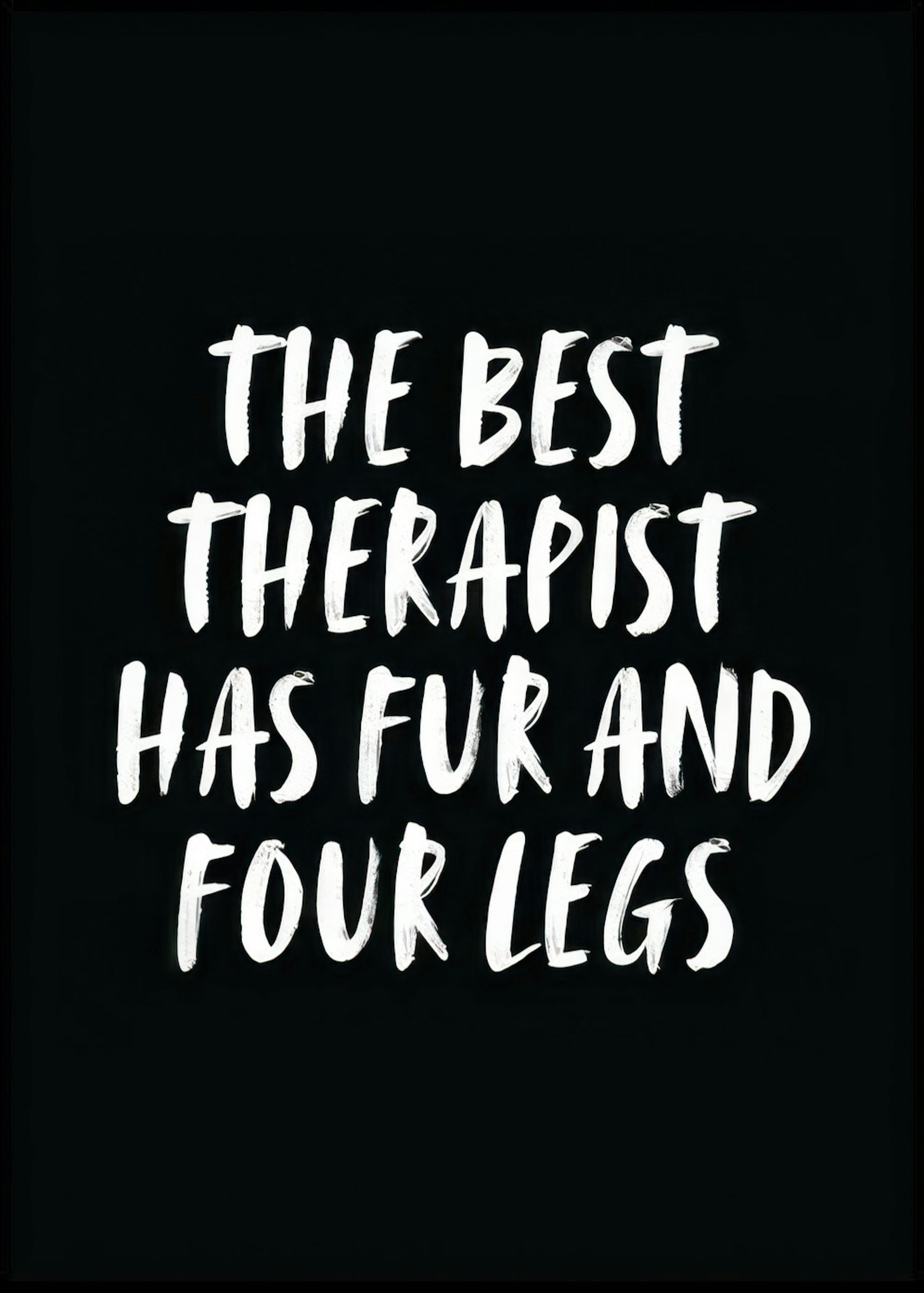 De Beste Therapeut Poster 0