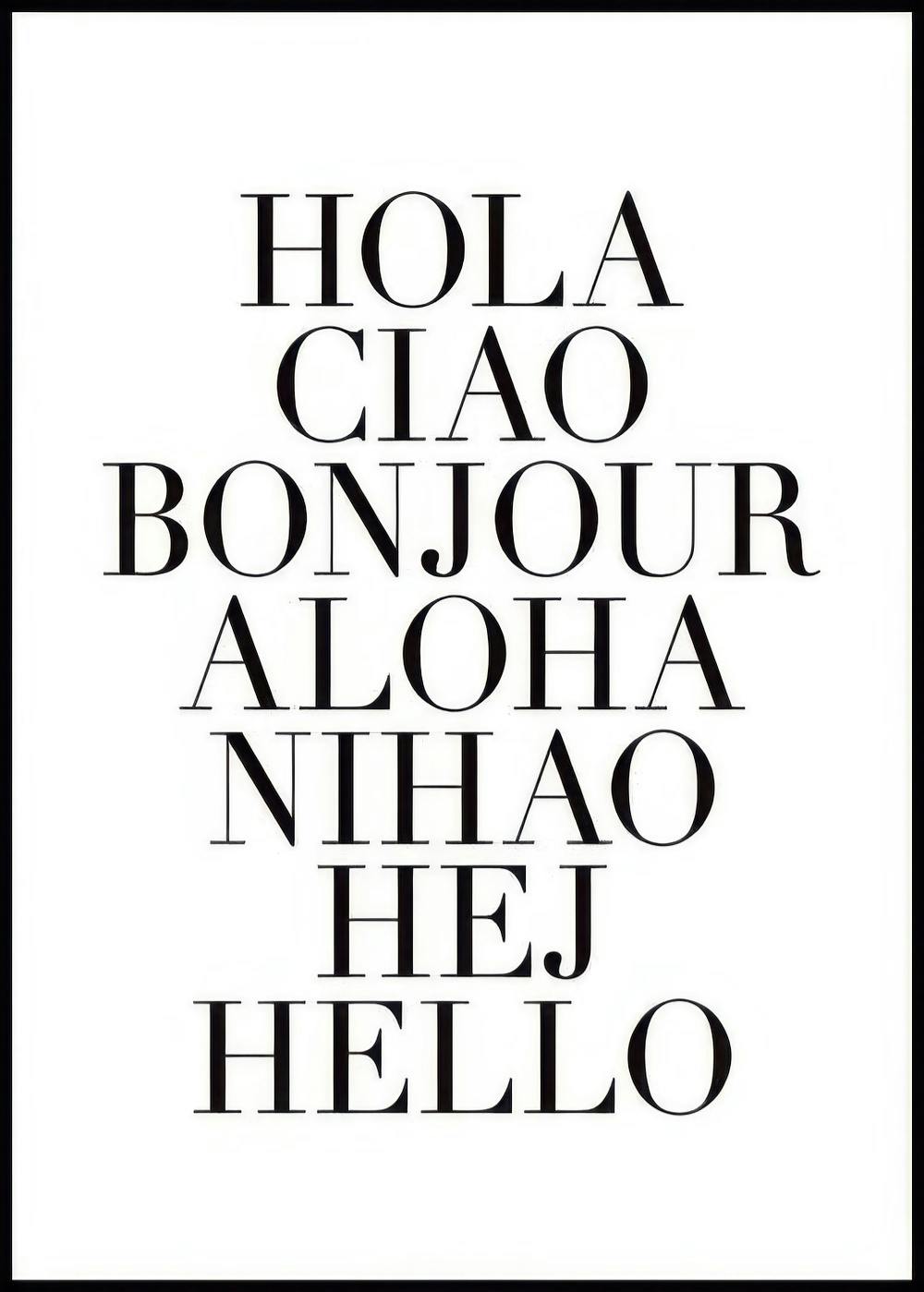 Comment Dire Bonjour Poster 0