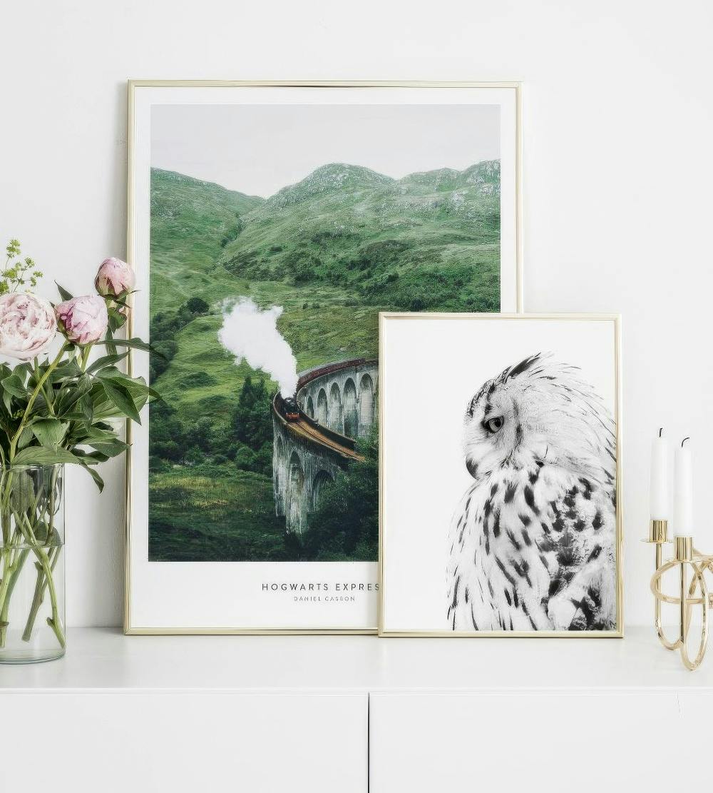 Posters inspired av Harry Potter sammen med gullrammer (ONE SIZE) - Poster Store