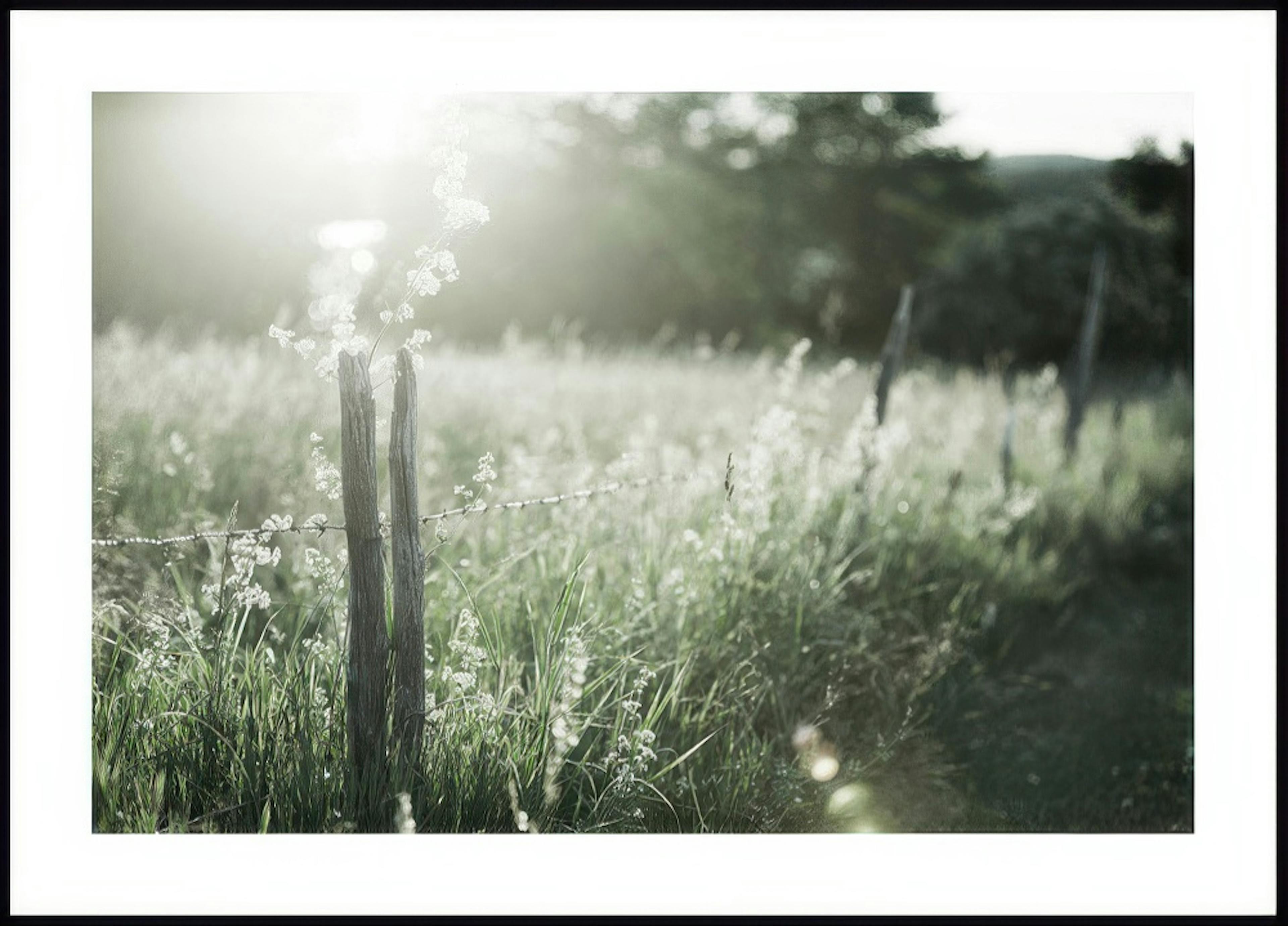 Old Fence Poster thumbnail