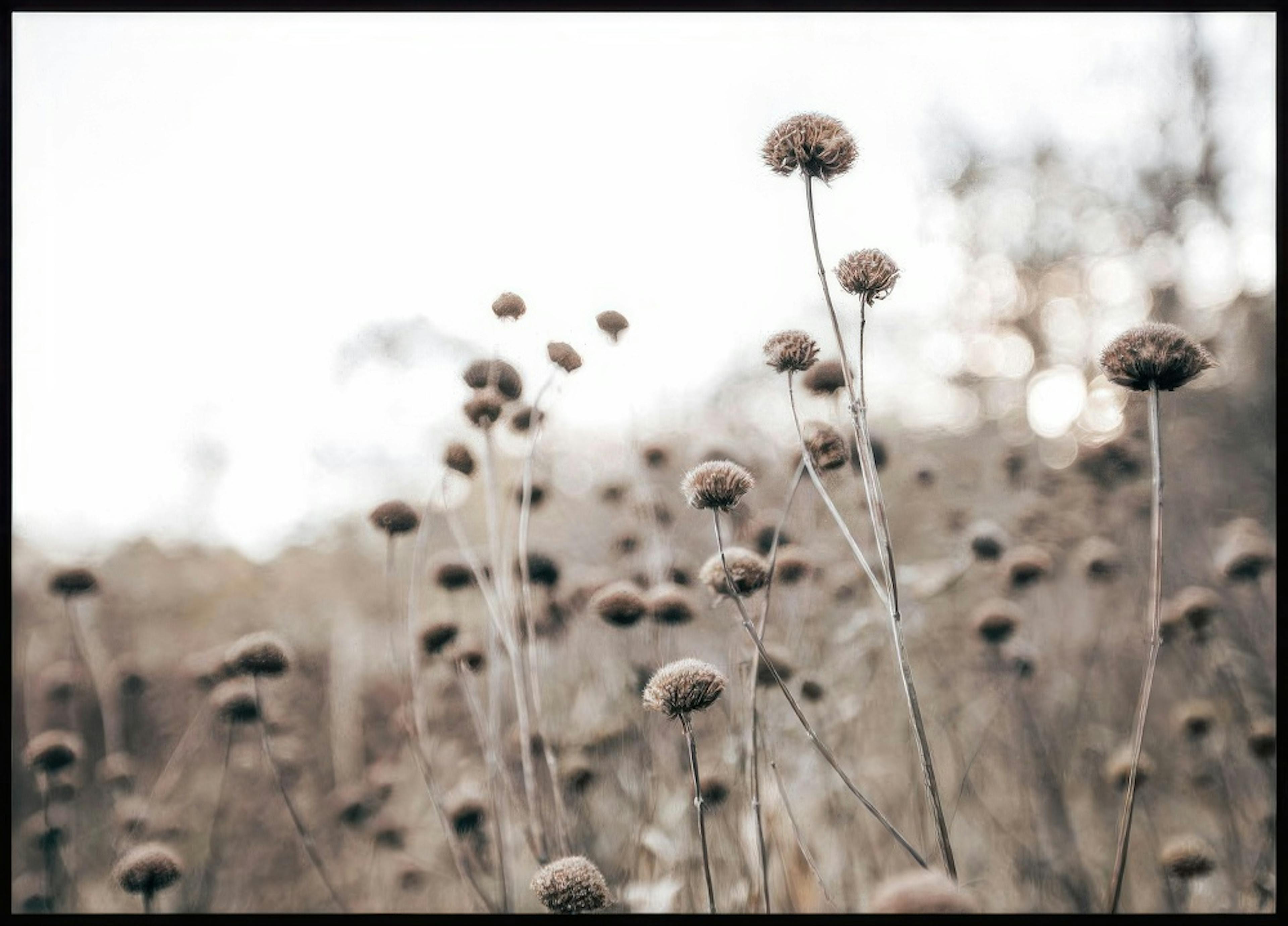 Wild Flowers Poster thumbnail