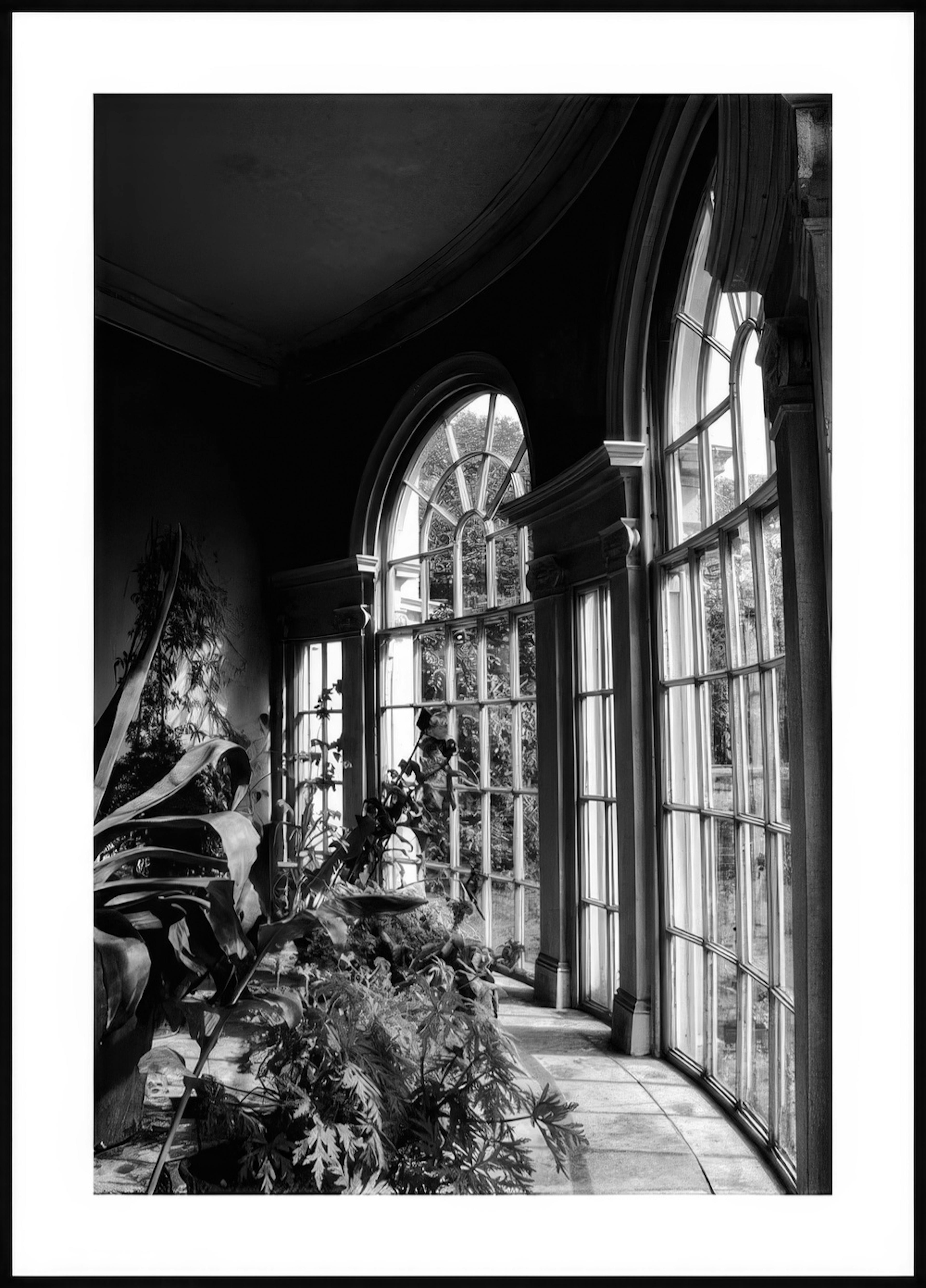 Greenhouse Windows Poster thumbnail