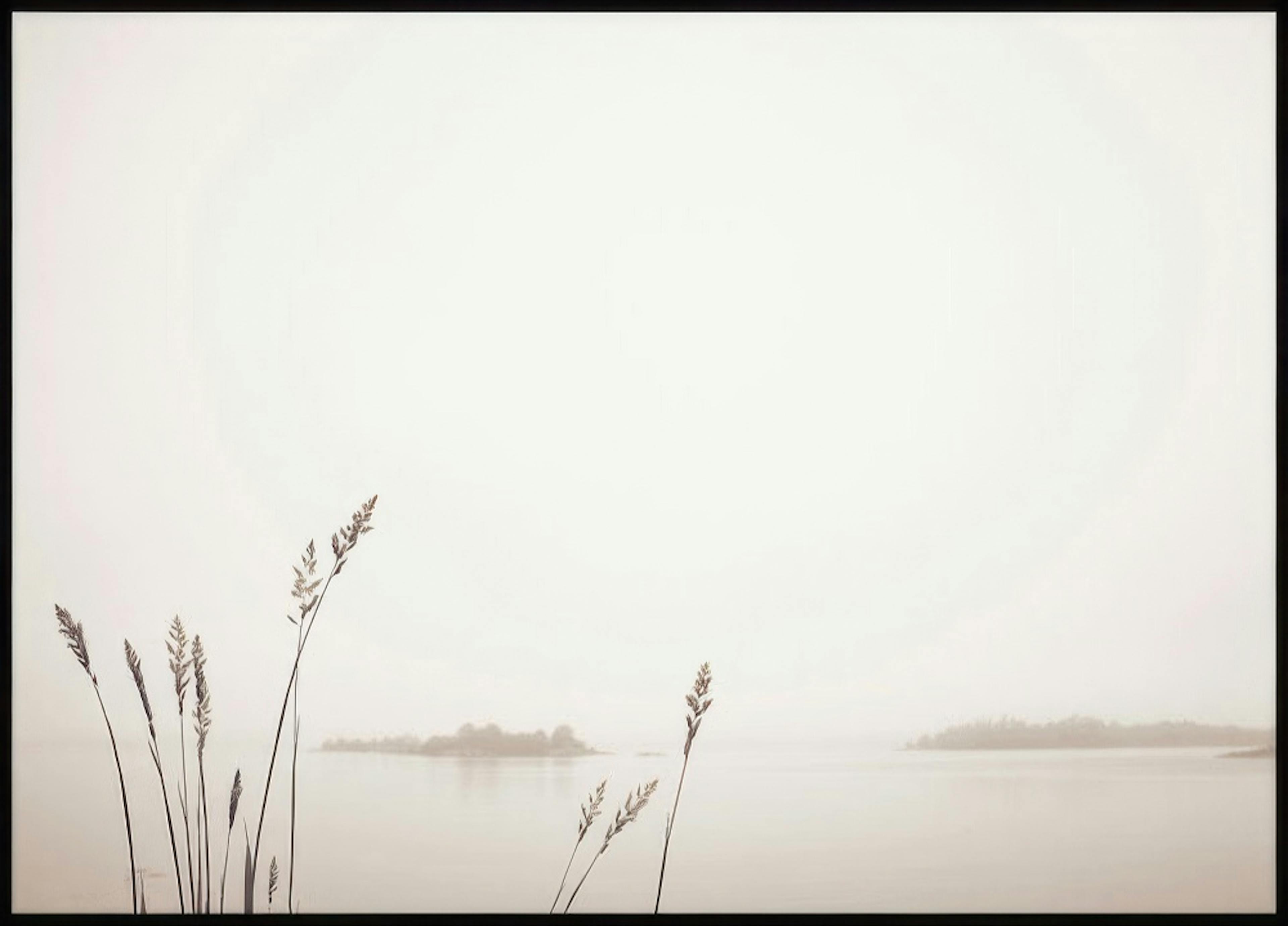 Ein Poster mit einer minimalistischen See- oder Flusslandschaft im Nebel, mit Grashalmen im Vordergrund und kleinen Inseln im Hi