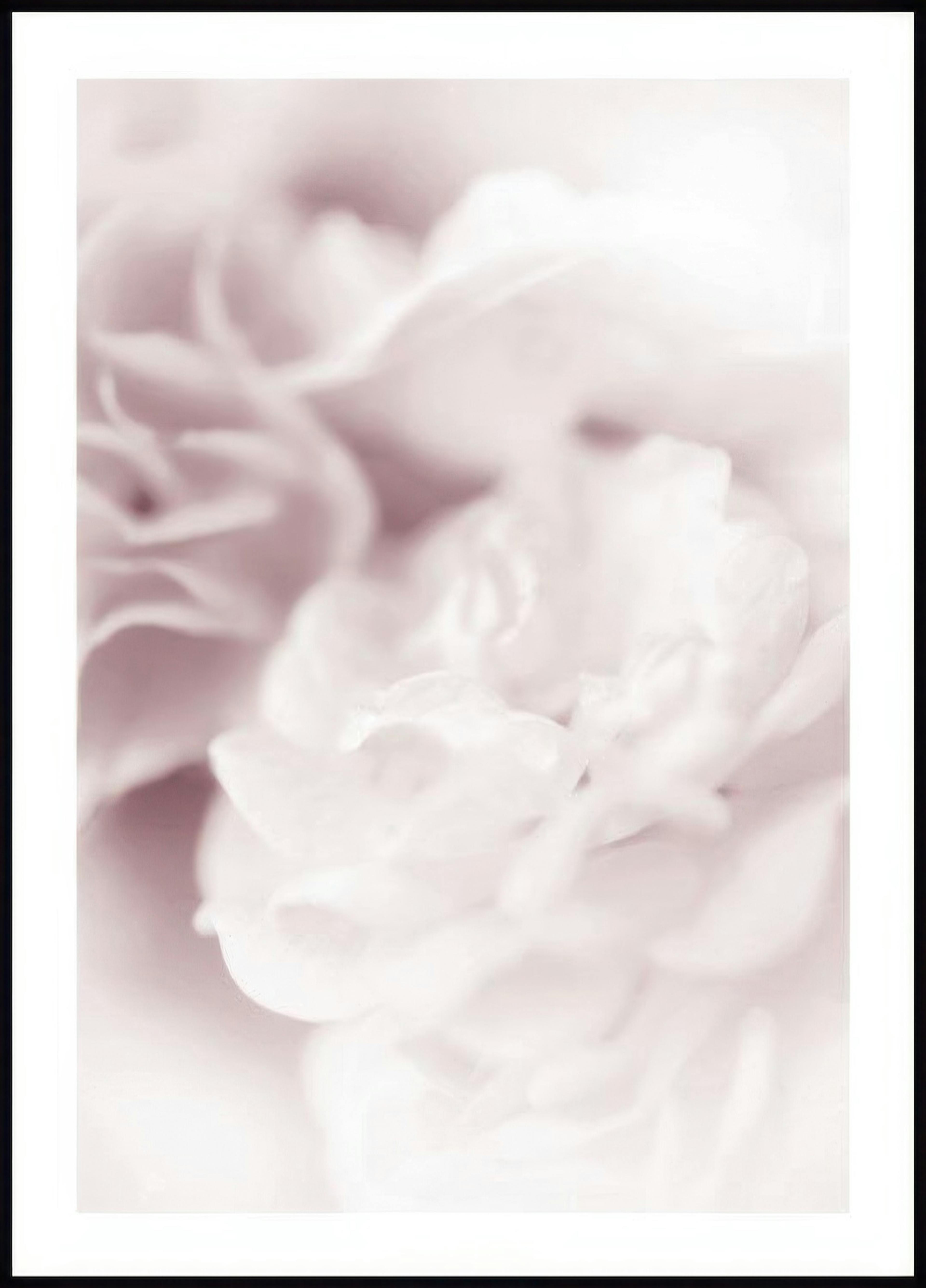 A poster featuring a soft-focus close-up of light pink rose petals with subtle brown and white hues.