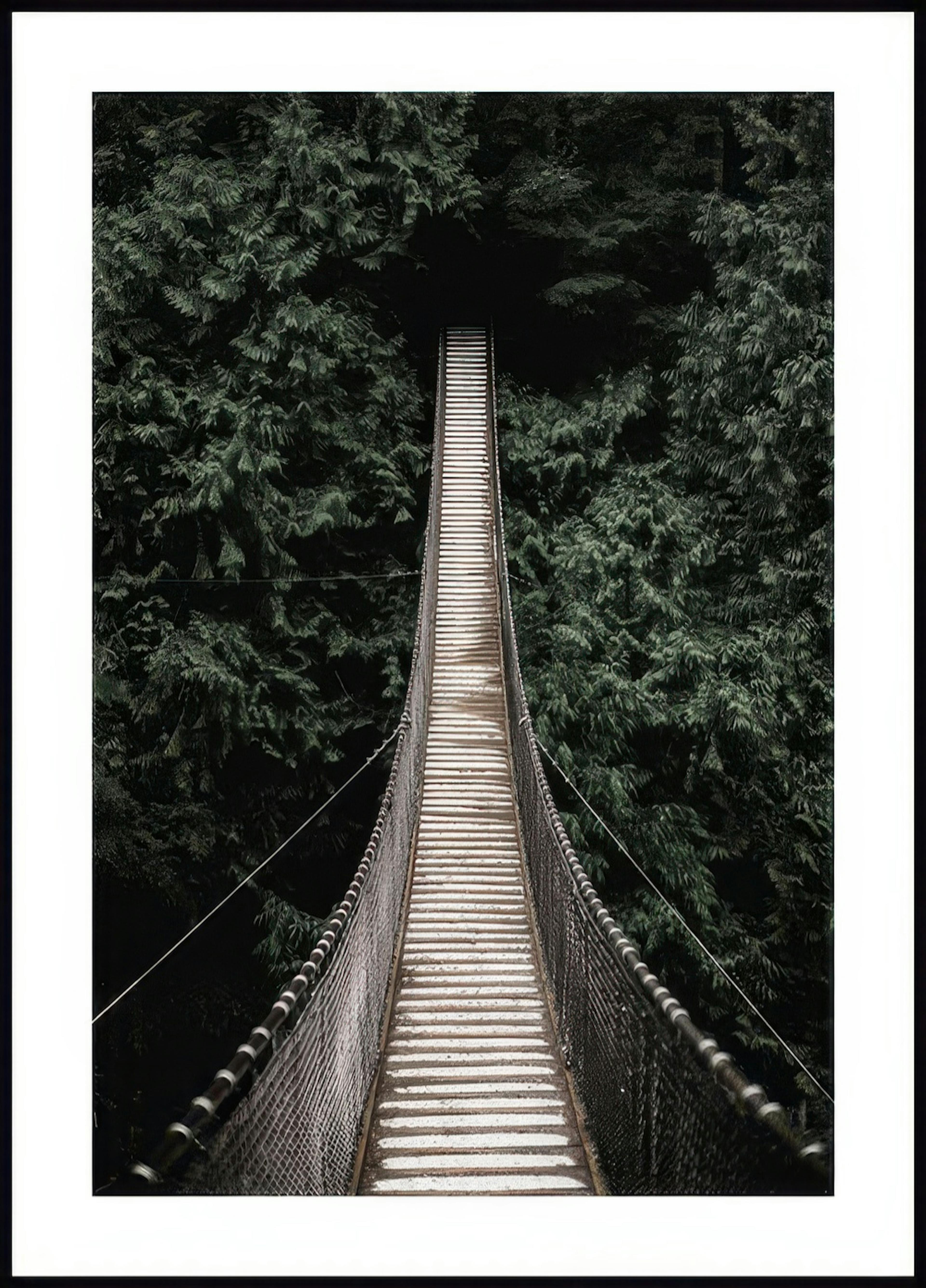 Pont forestier Poster thumbnail