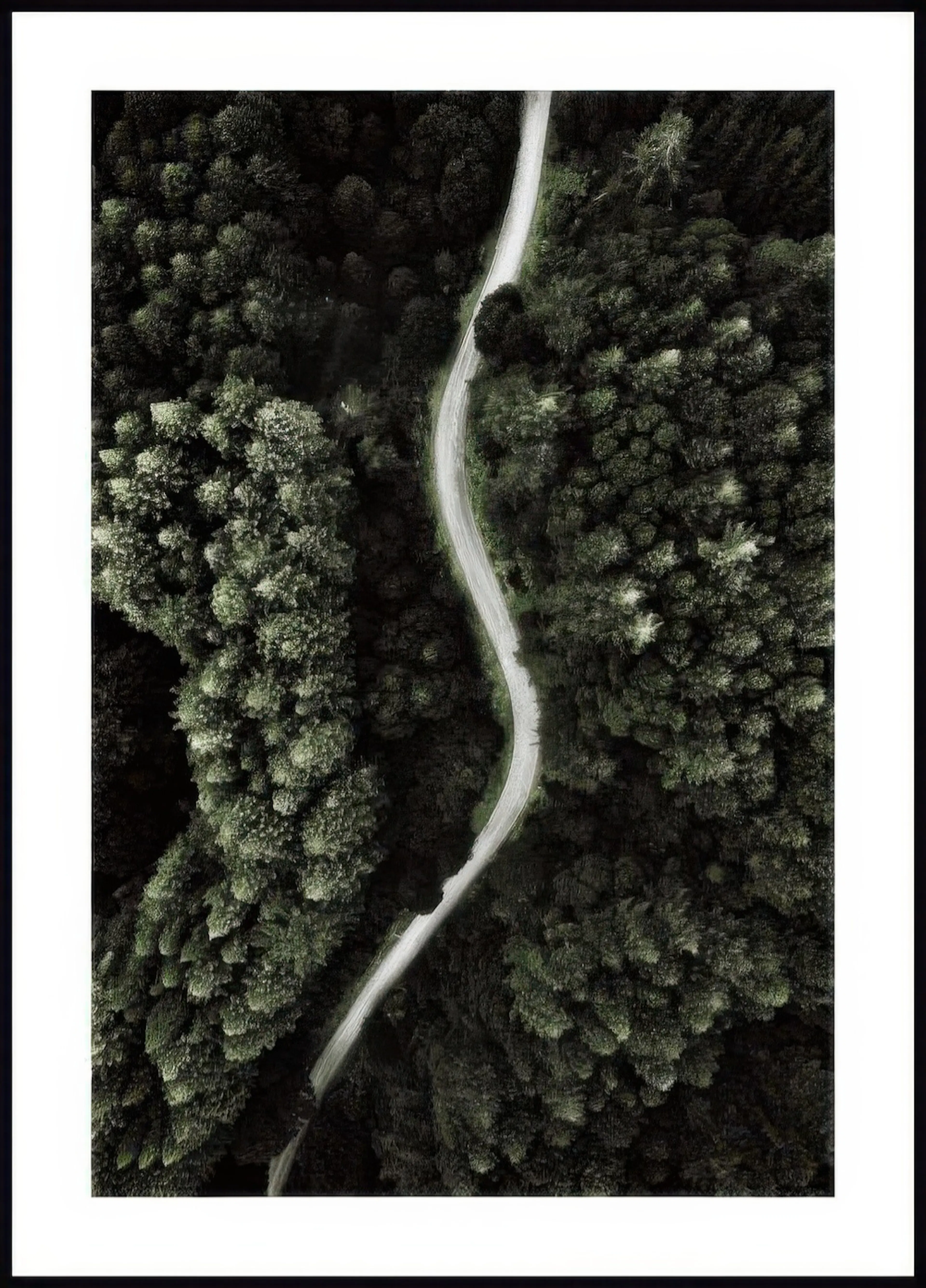 A poster featuring an aerial view of a winding road through a dense, dark green forest.