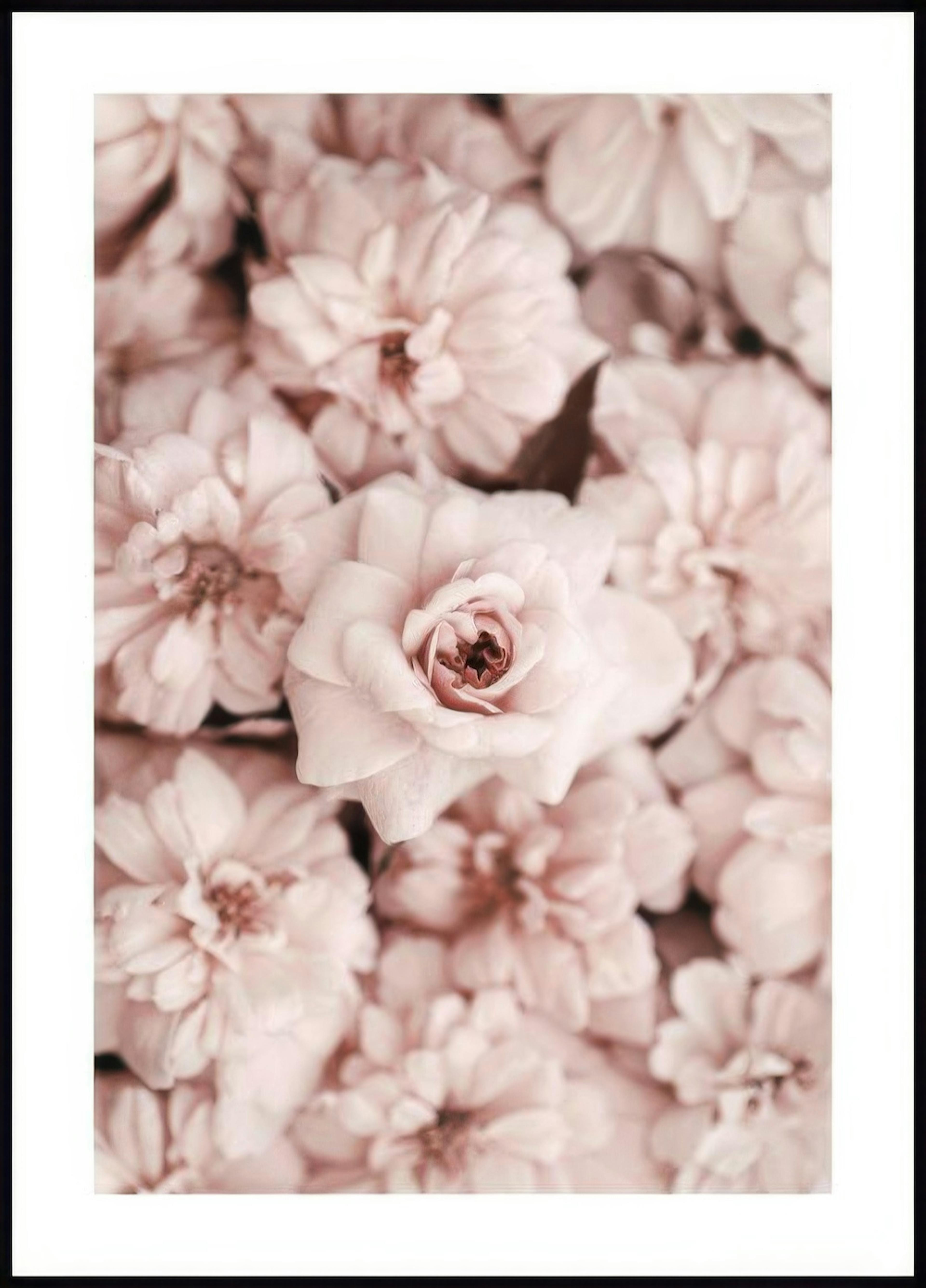 Blumen Poster 0