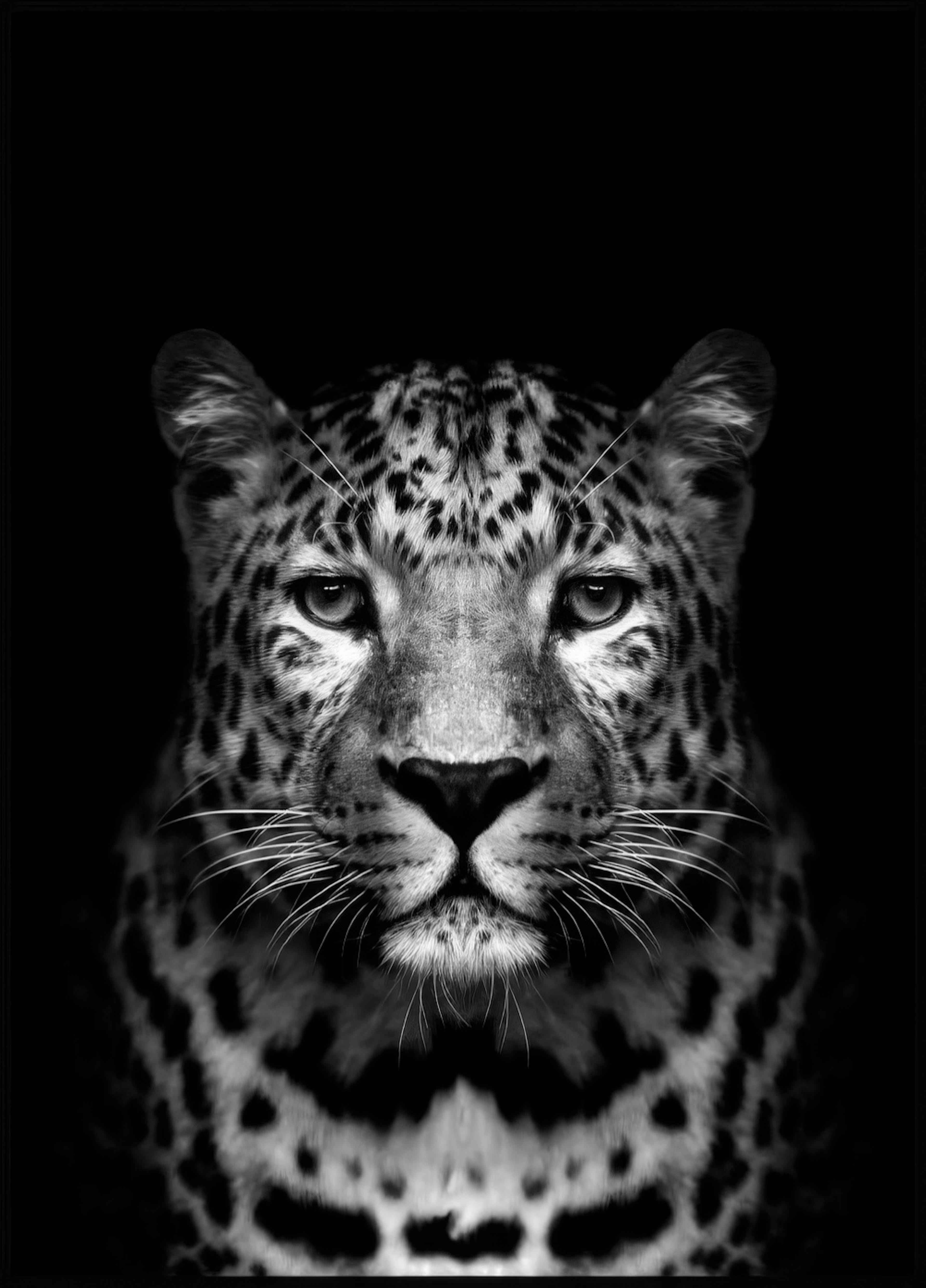 Schwarzer Leopard Poster thumbnail