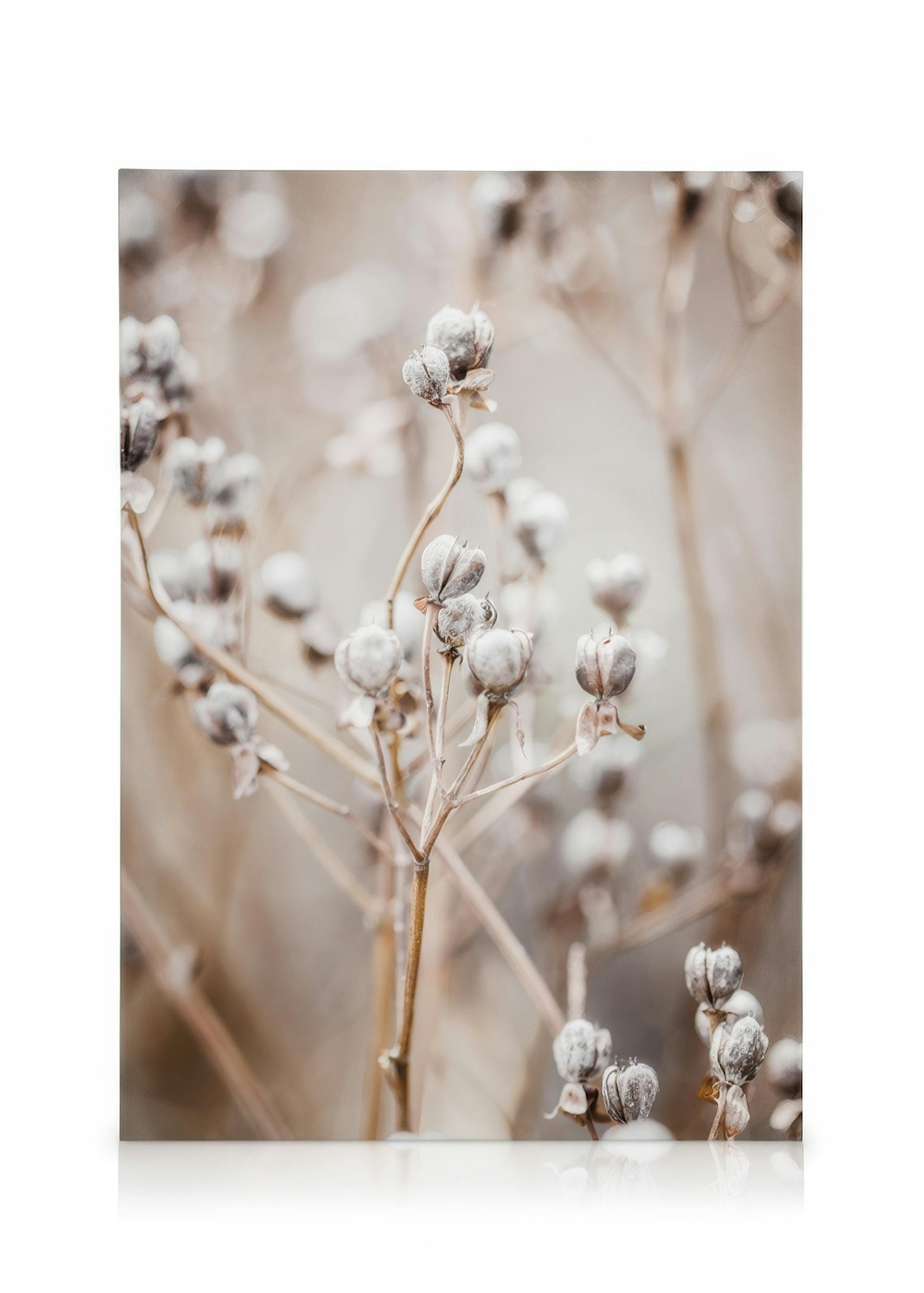 Stampa su tela Natura Beige 0
