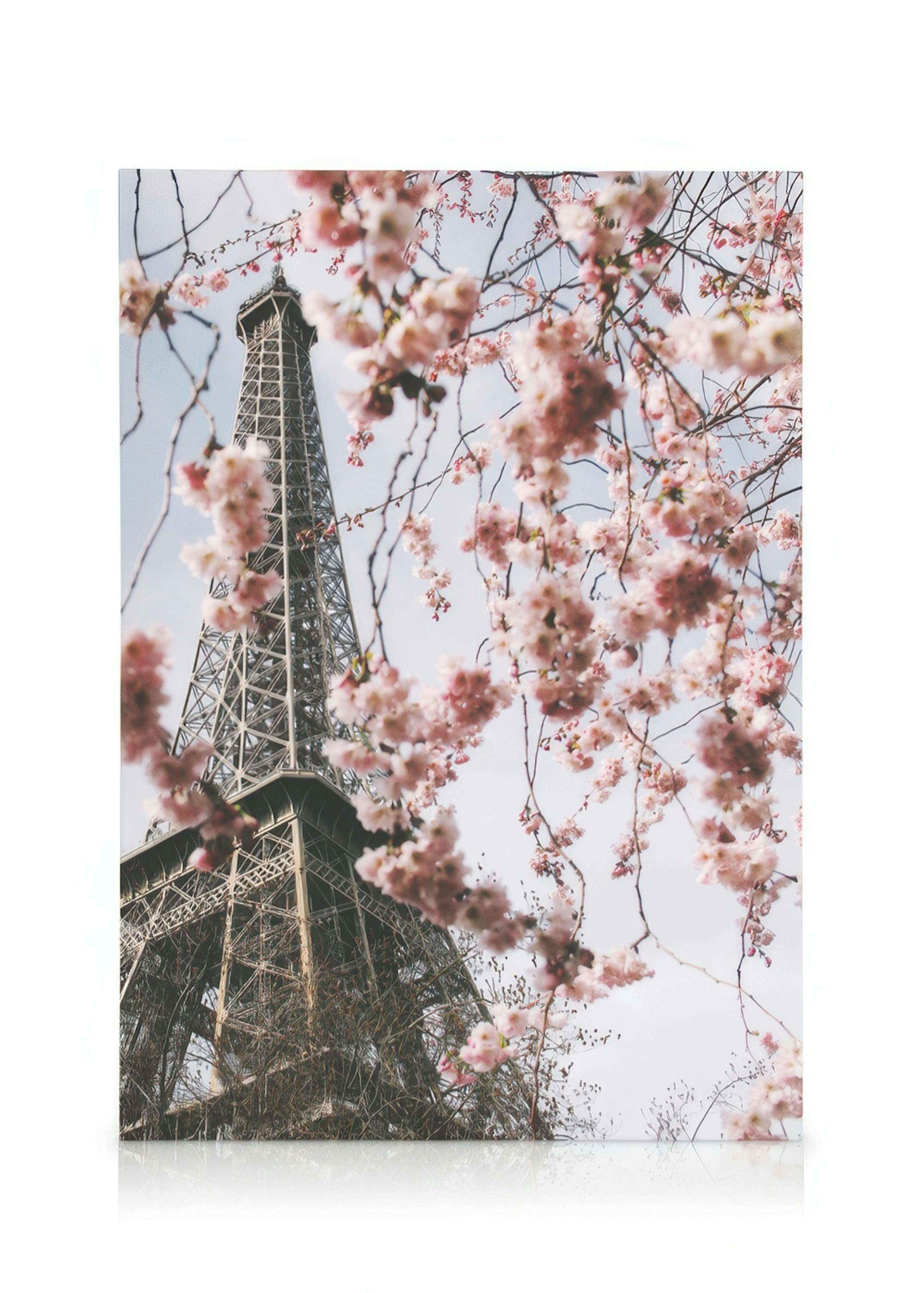 Fiori Torre Eiffel Stampa su tela 0