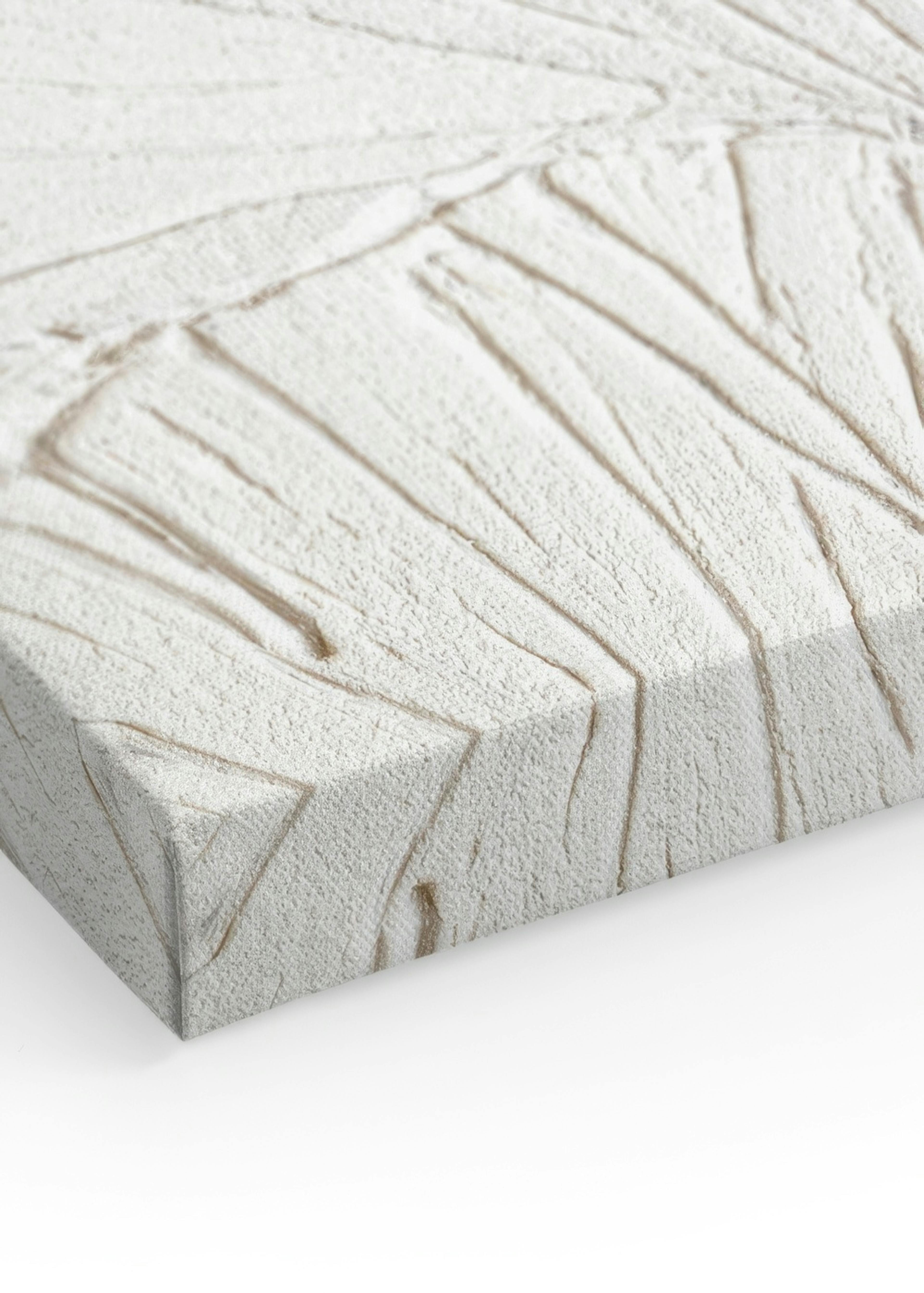 Ginkgo Texture Canvas print thumbnail