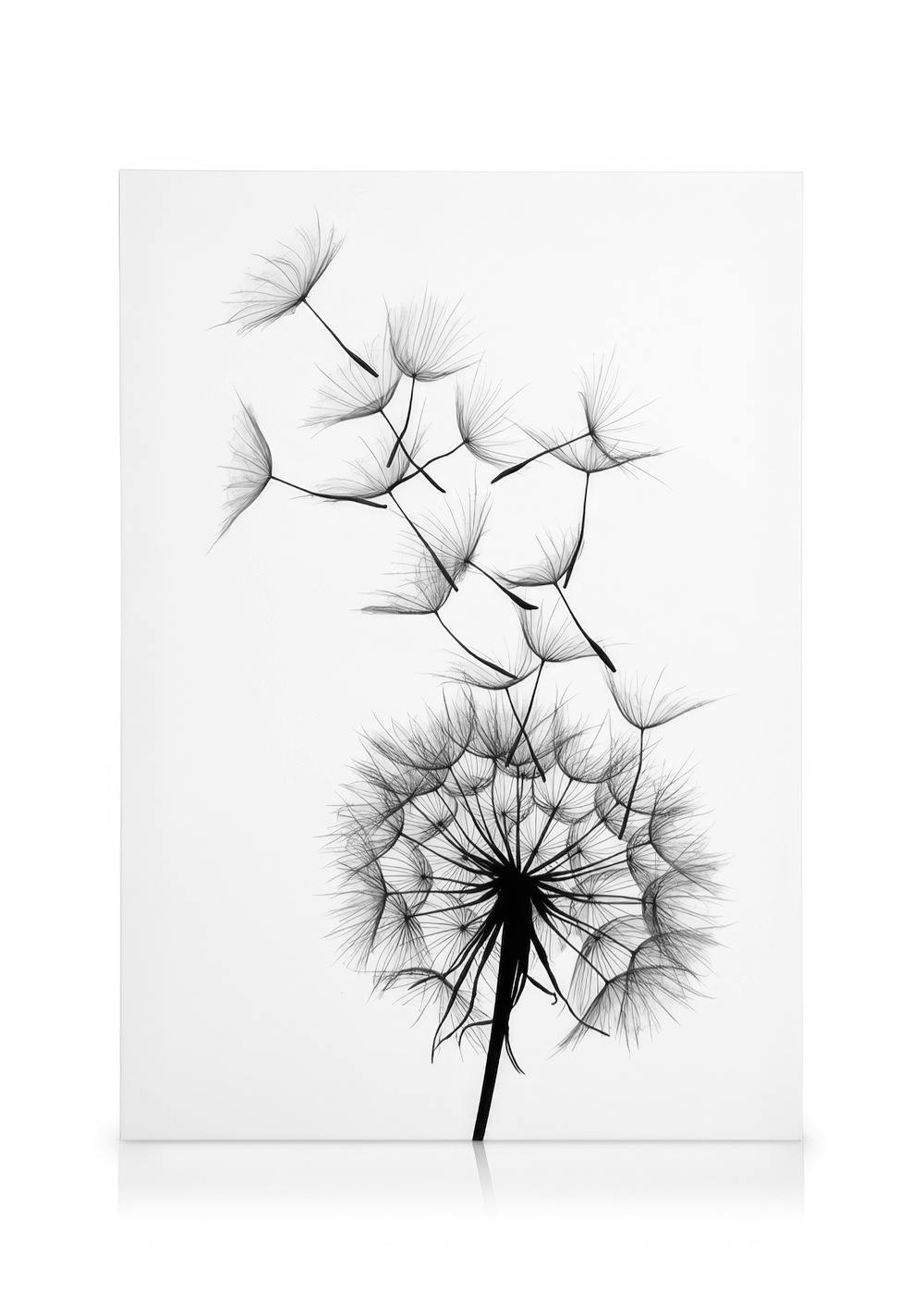 Dandelion wish Canvas 0