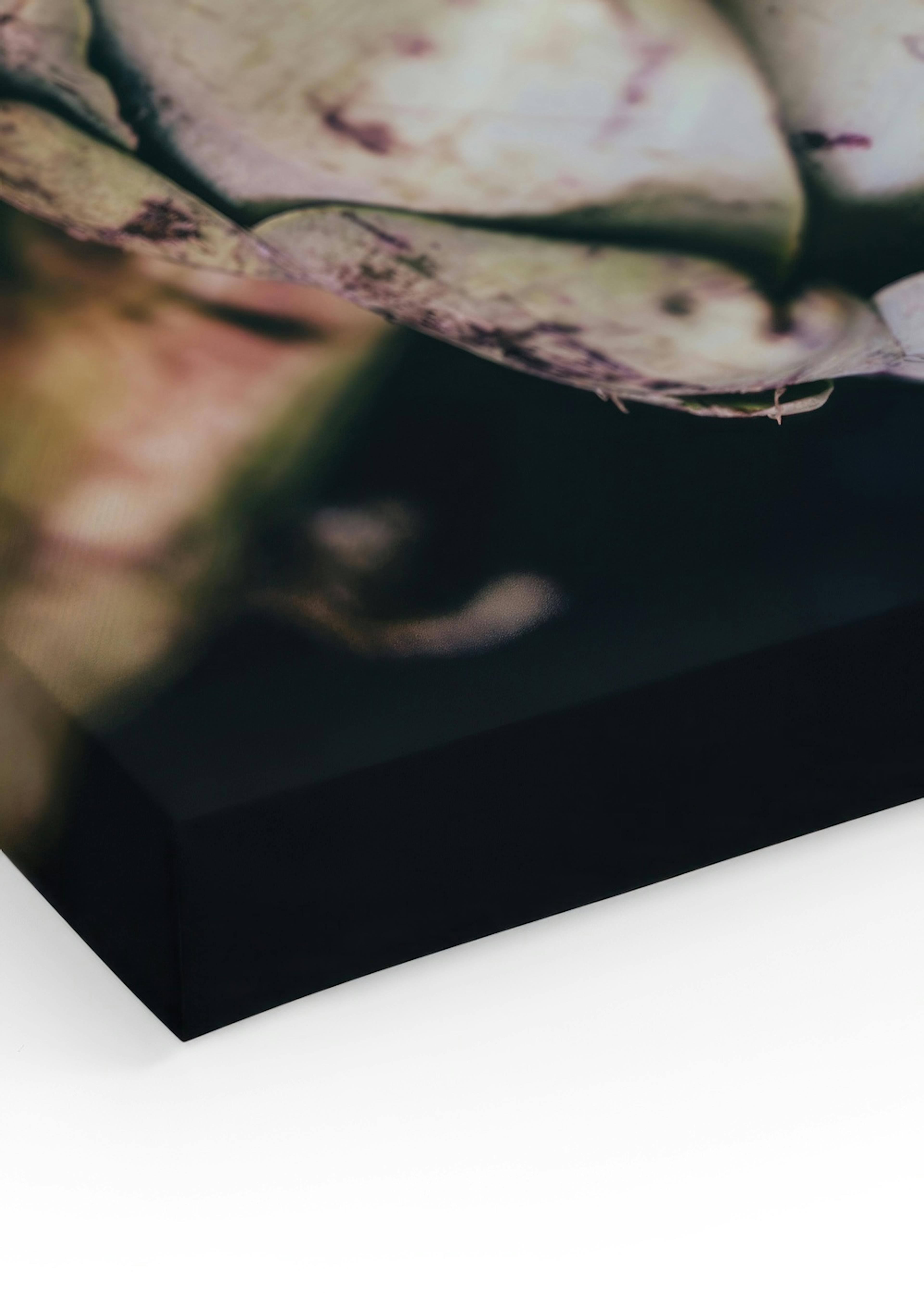 Product image: 3