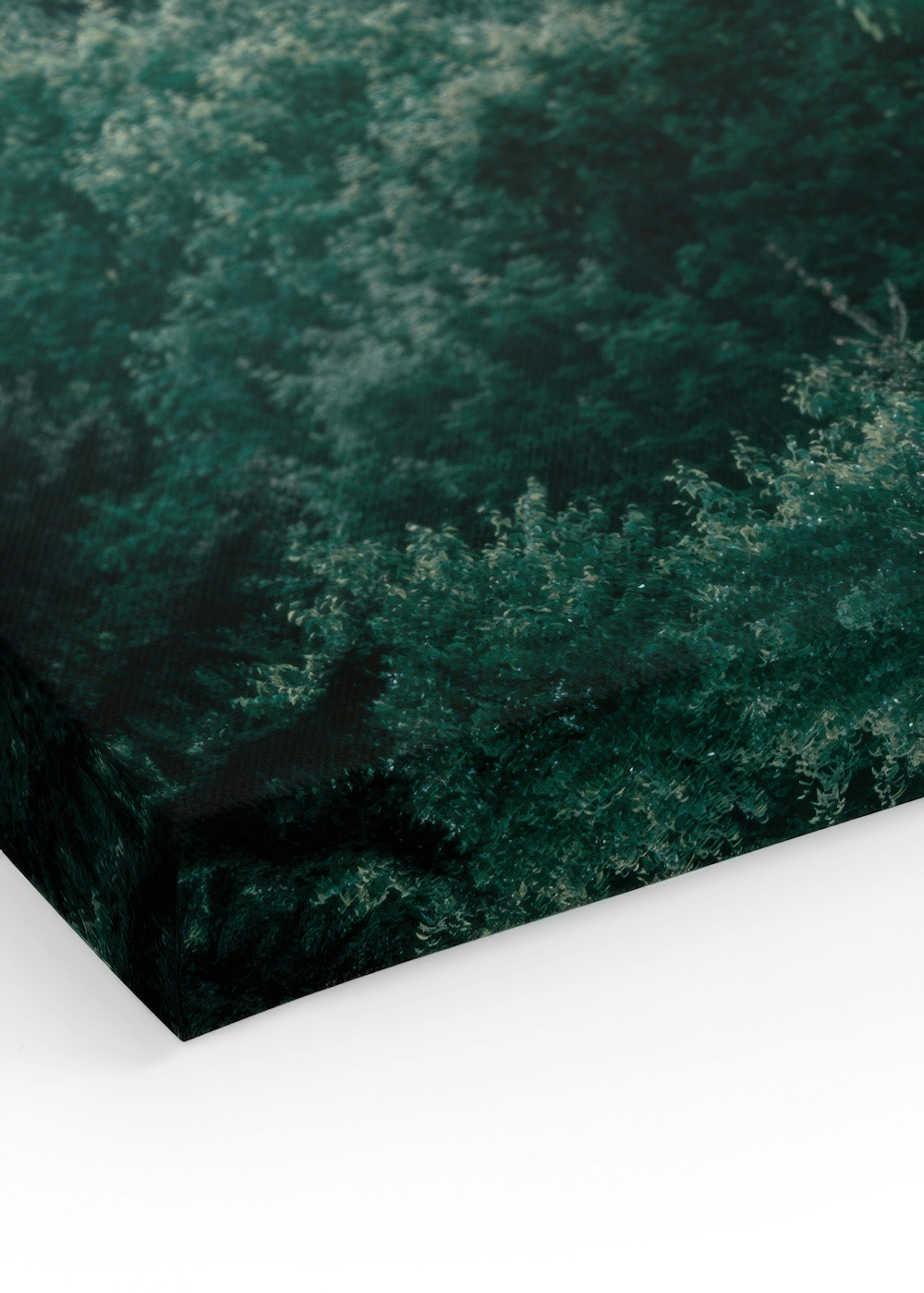 Forest hills Canvas print thumbnail