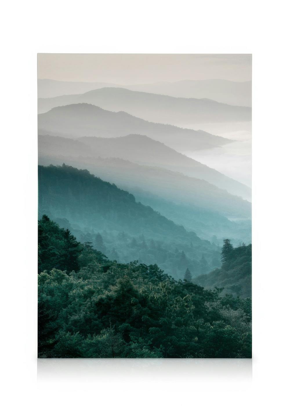 Canvastavlor - Forest Mountain Canvastavla (50x70 cm) - Poster Store